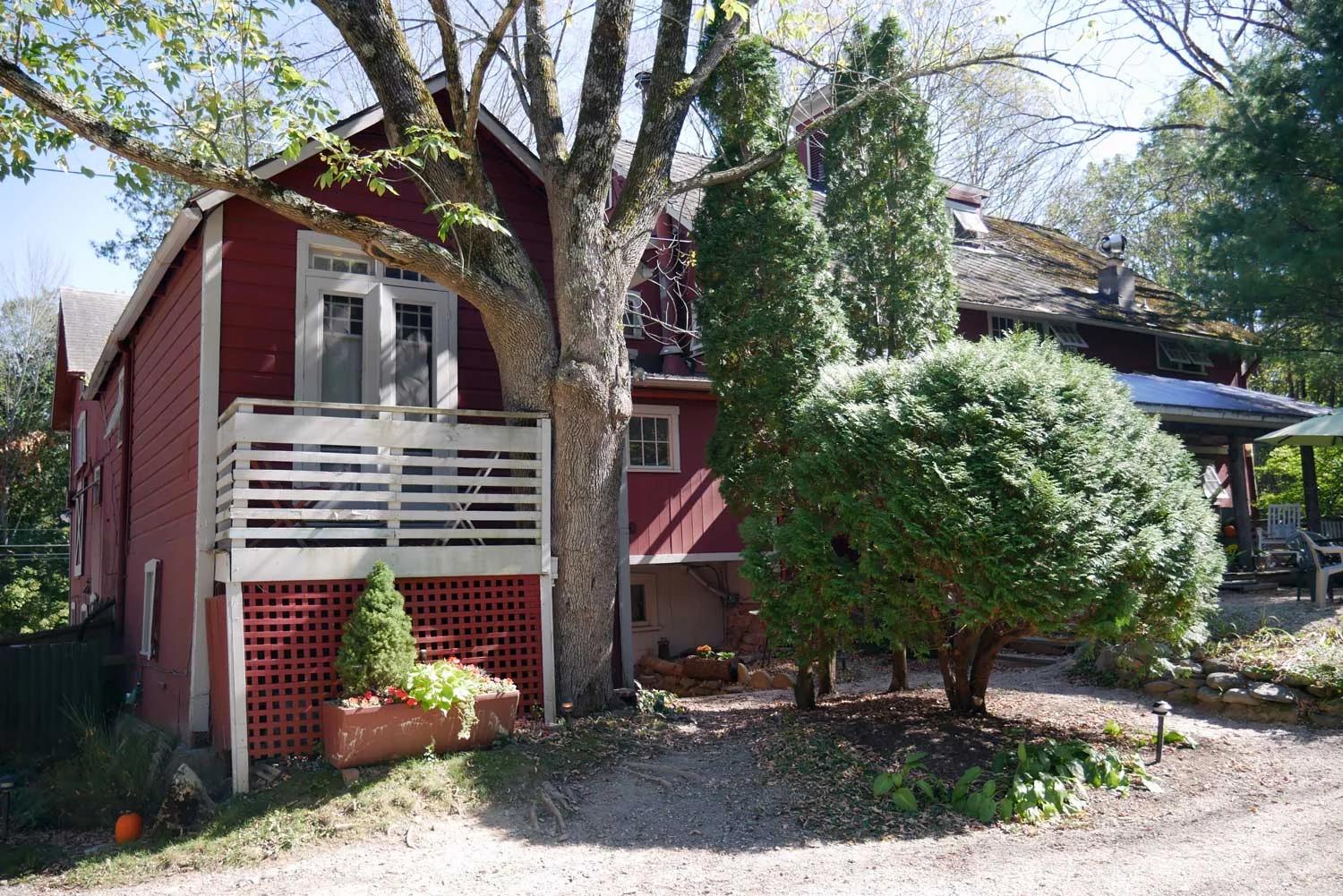 Room 15, Tree House