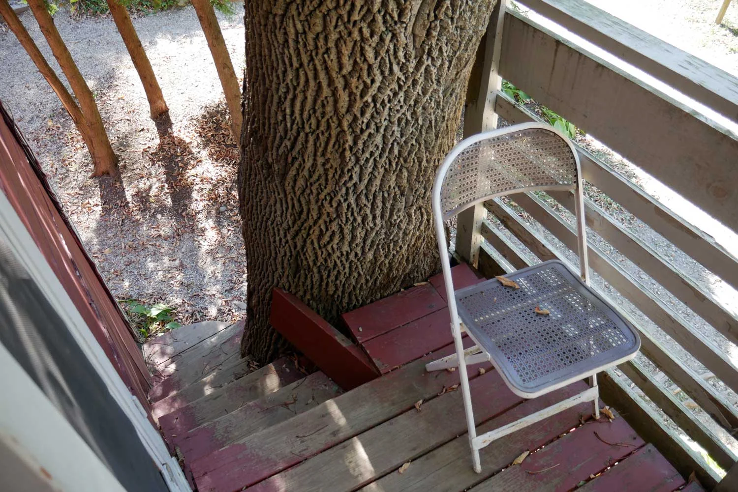 Room 15, Tree House