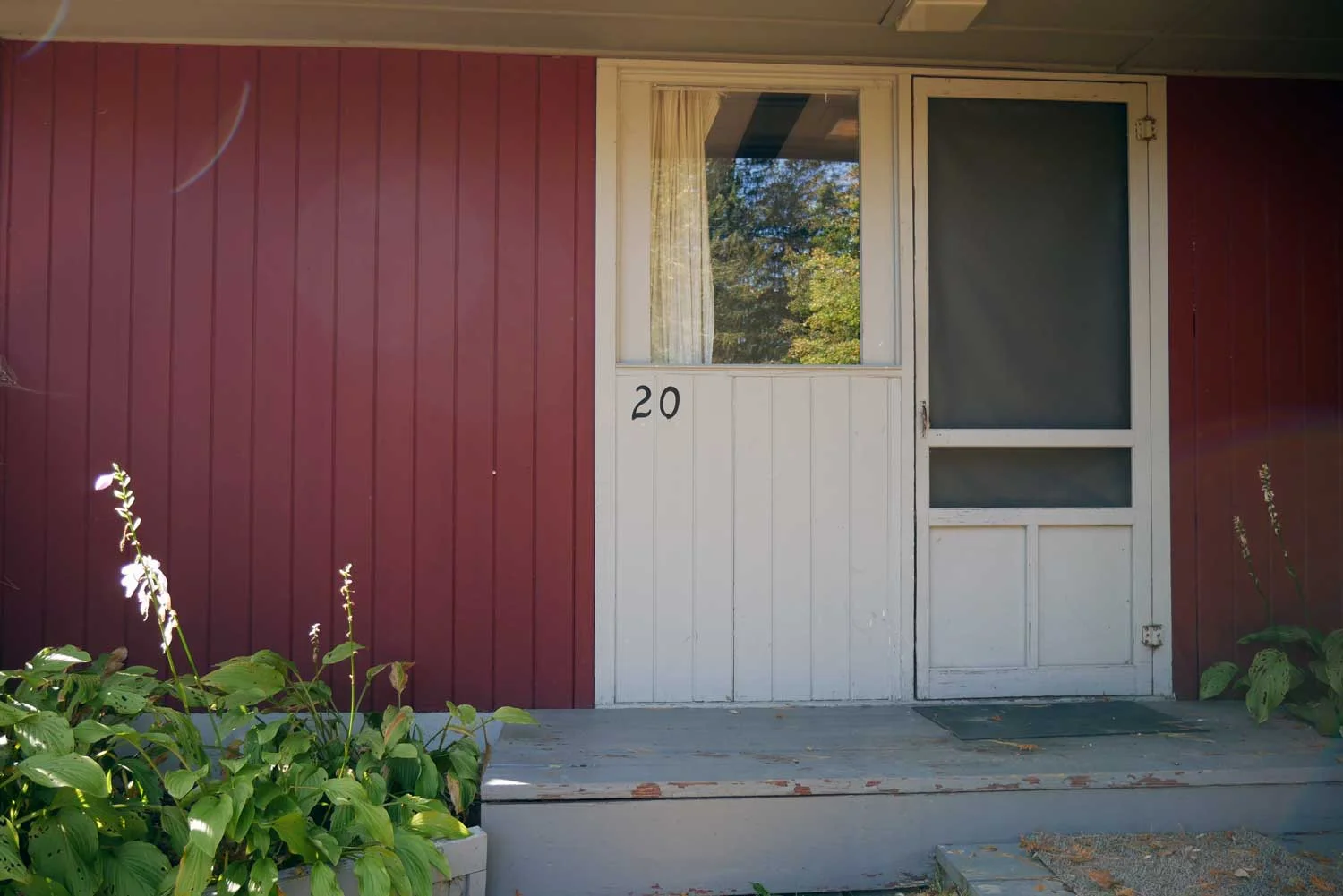 Room 20, Race Cottage