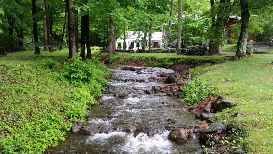 Calming Natural Water Feature, Race Brook.