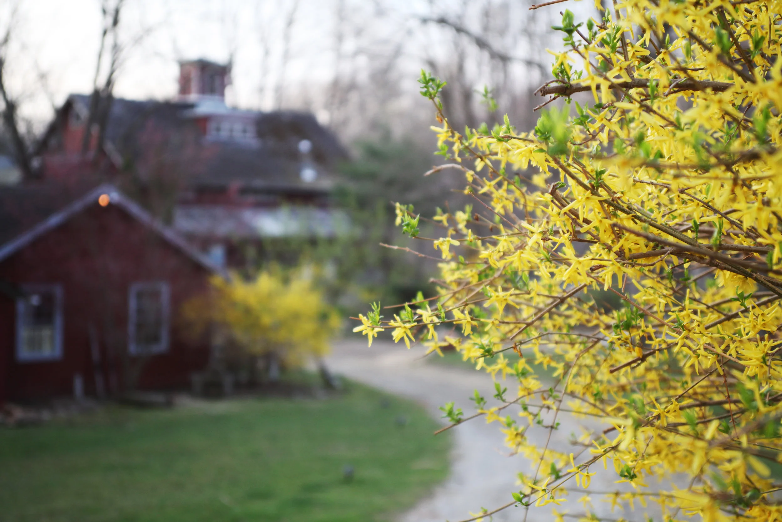 Spring-Weekend-Getaway-Package.jpg