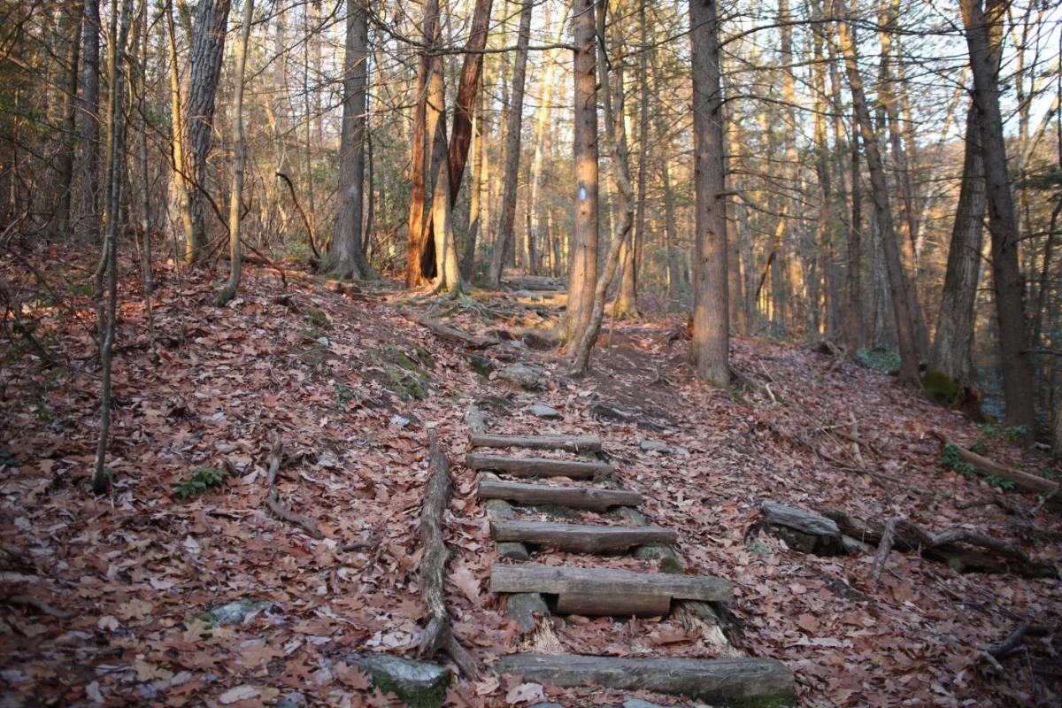 The Race Brook Trail in Autumn