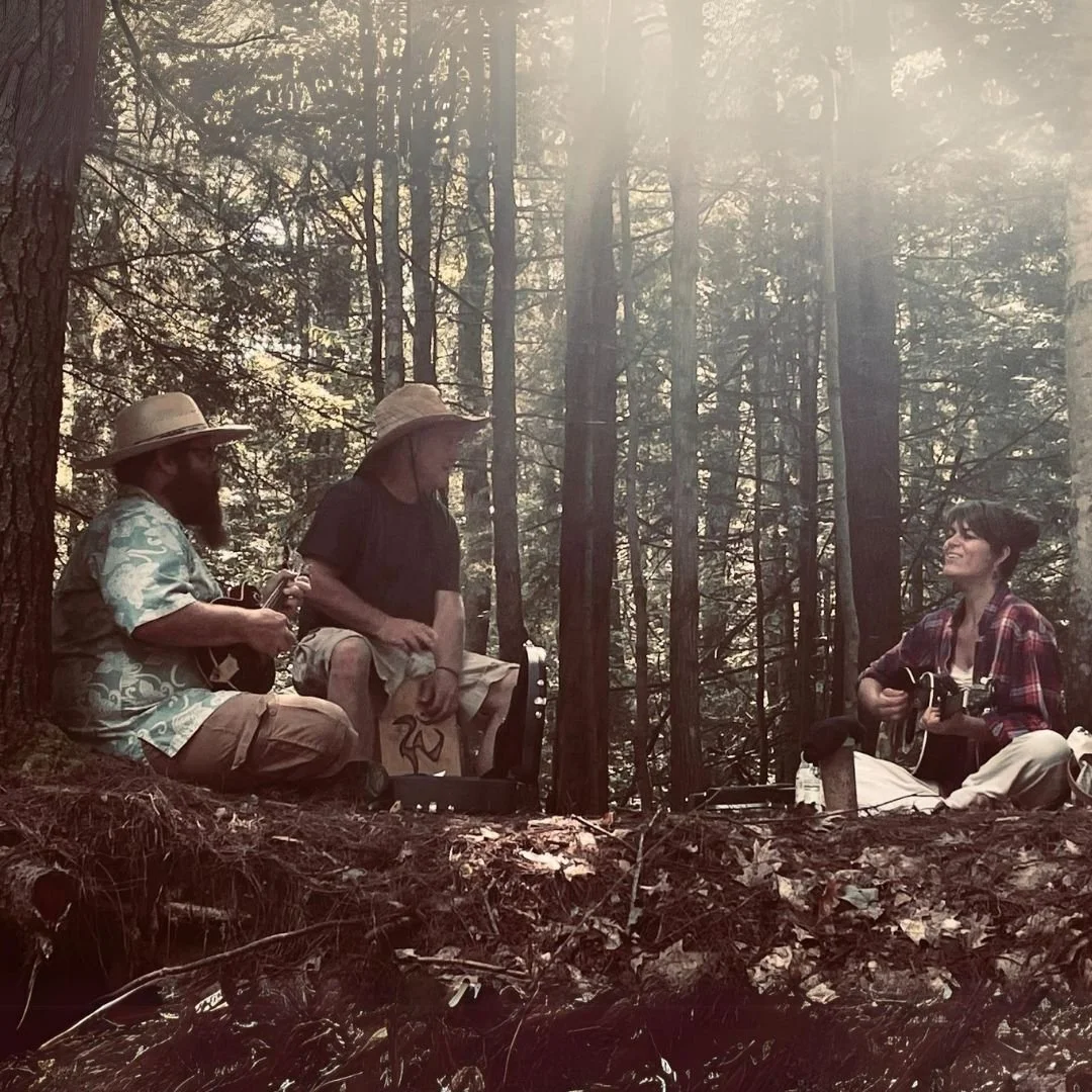 The Lindworm by The Re-Memberers