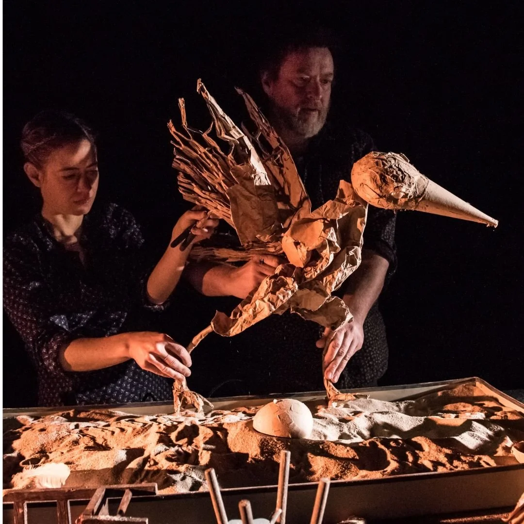 Birdheart Puppet Theatre — Race Brook Lodge