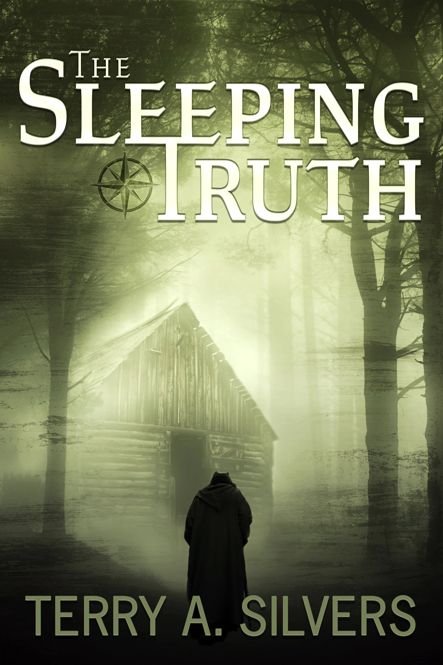 “The Sleeping Truth” February 2019 Book cover art