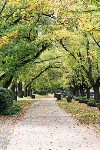 Rosalind_Park.jpg