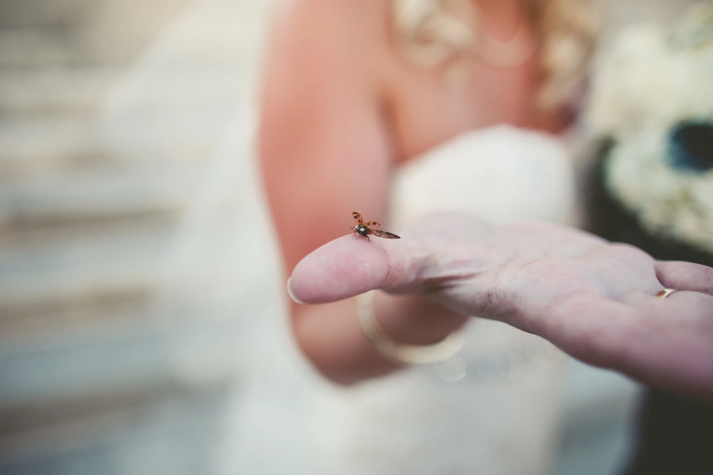 Kara and Cesar | Topeka, KS Wedding