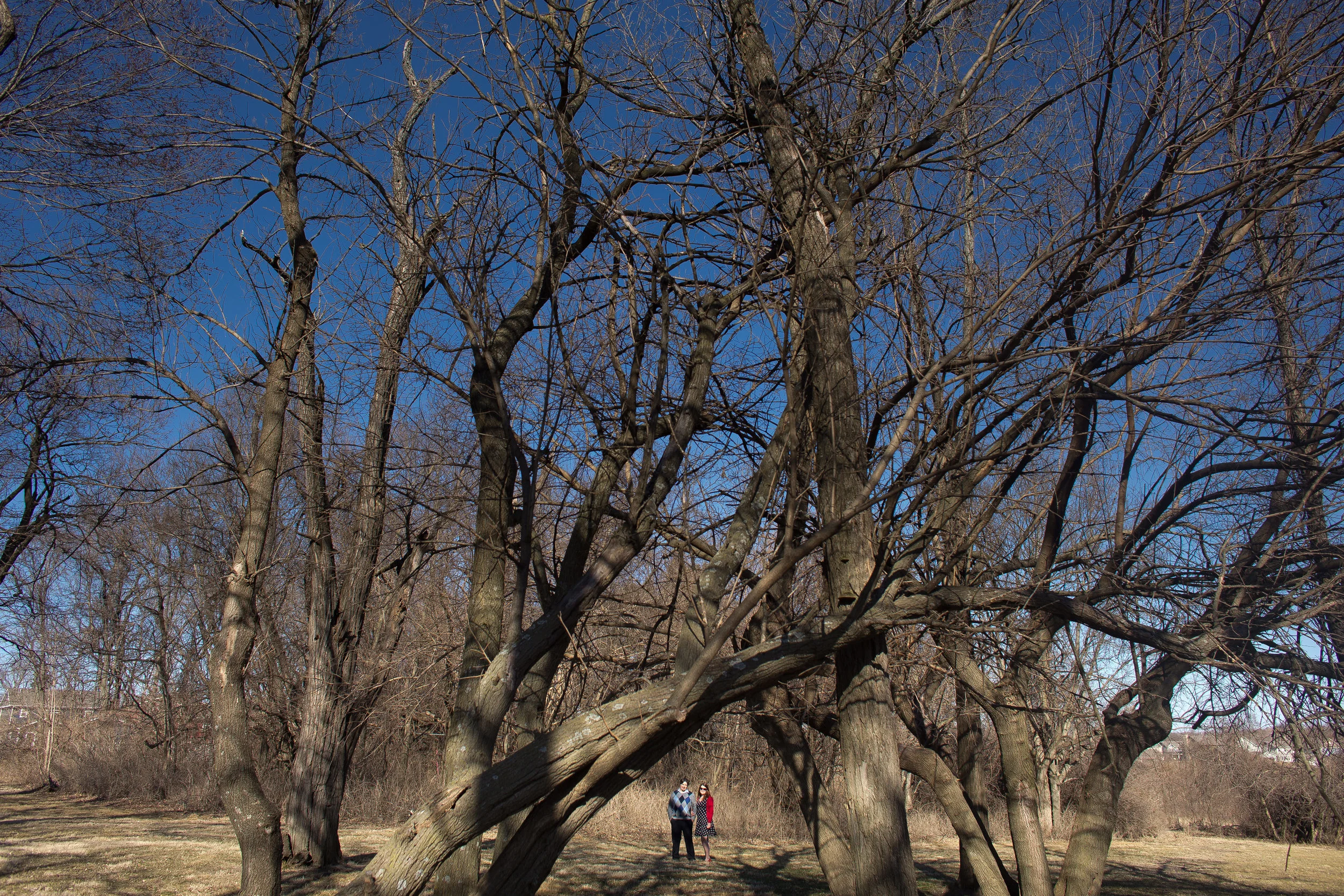 Lindsey and Ethan | Kansas City Engagement