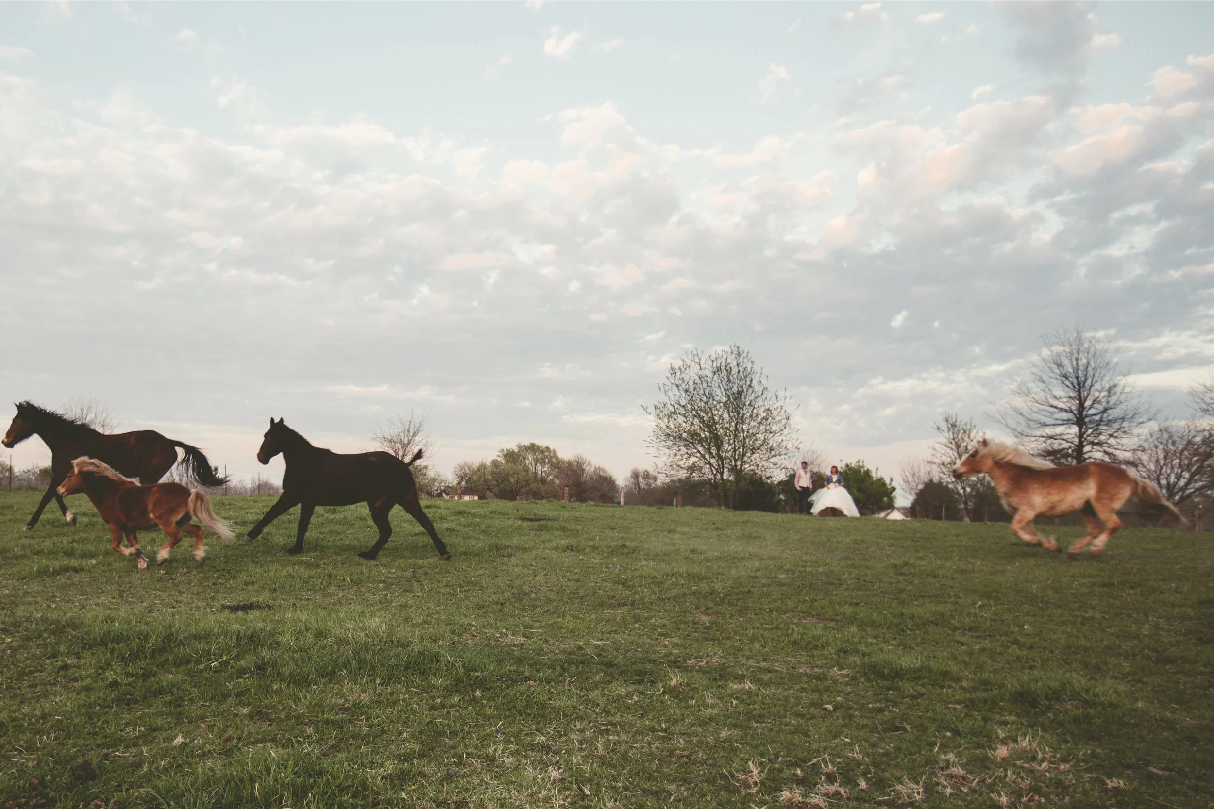 Brittain and Josh | Kansas City Wedding