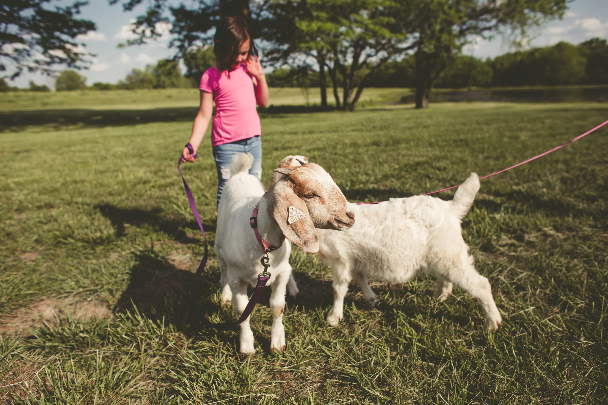 Koch Family | Spring Hill Portrait Session