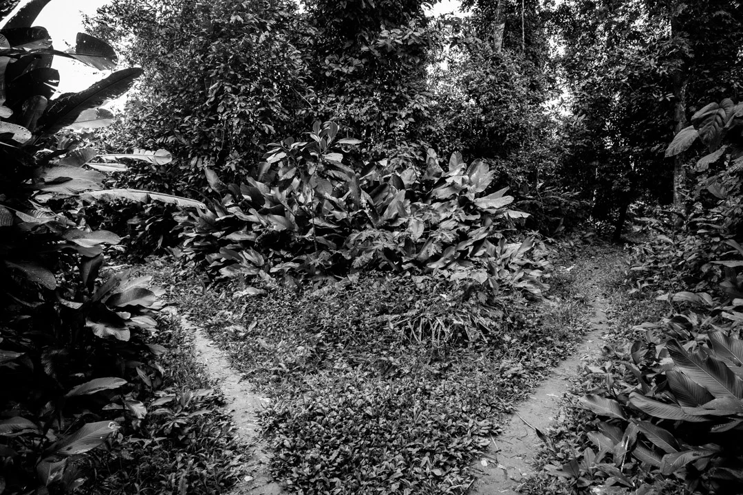 DSCF0641.jpg