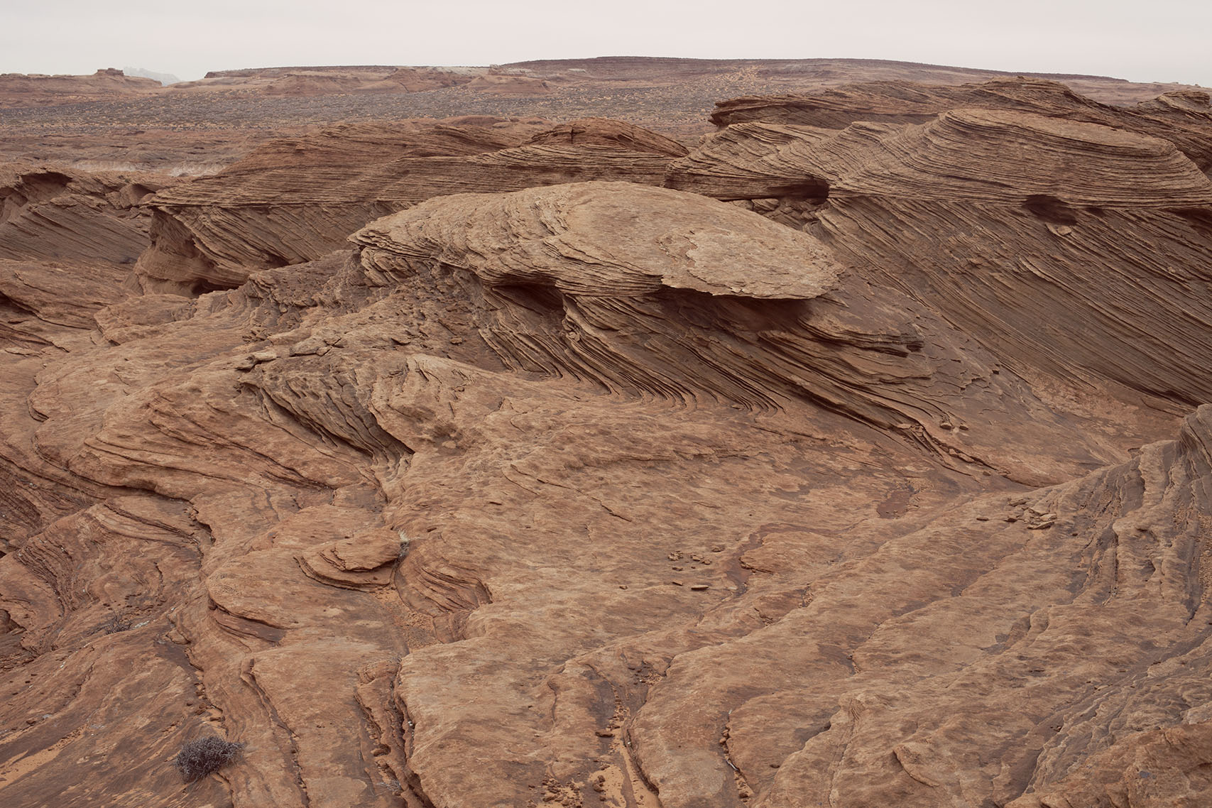 Arizona_Colvin_Sofia_02.jpg