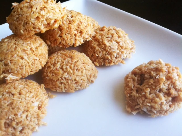 coconut-almond-butter-bites-rec
