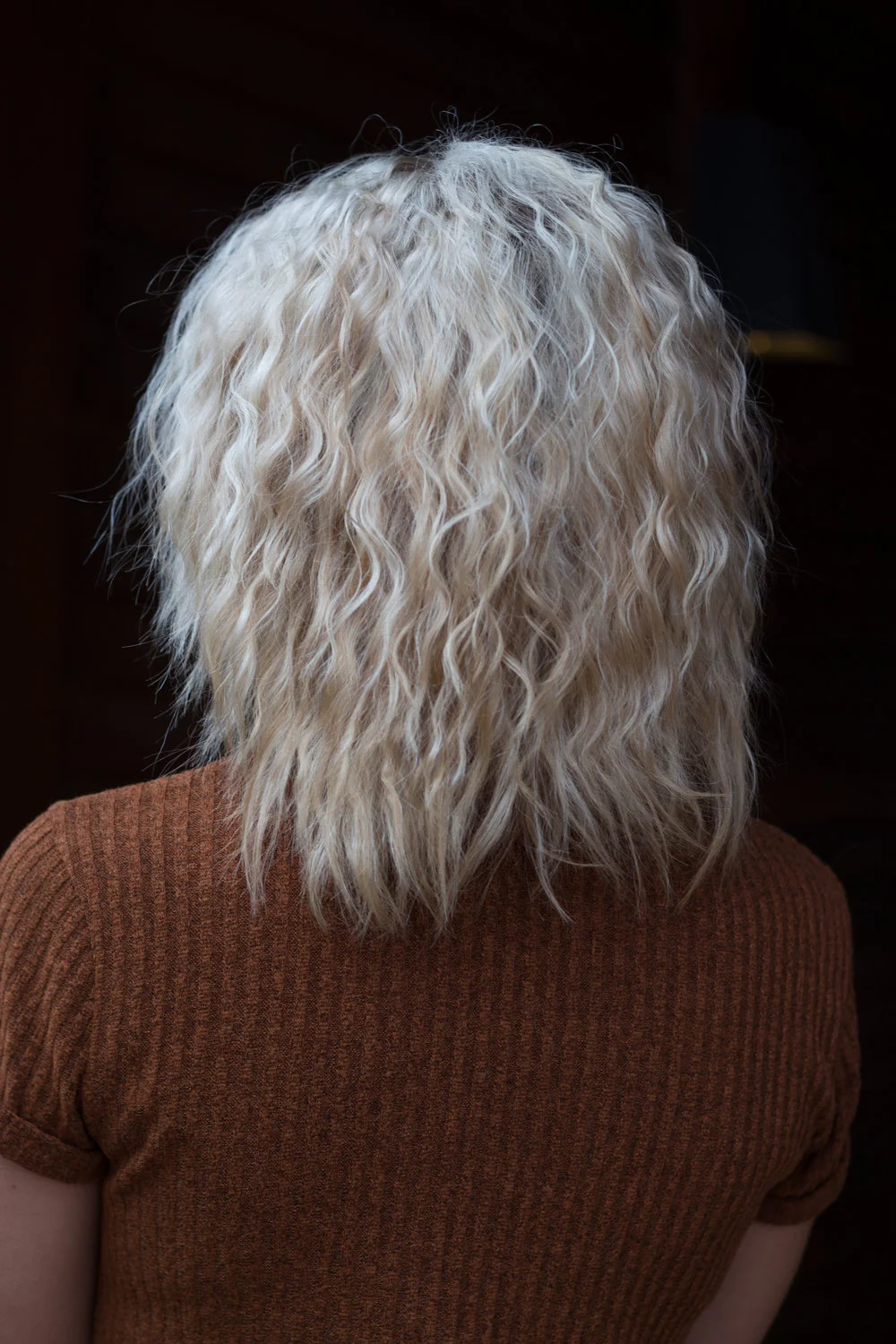 Primp Salon Platinum Color