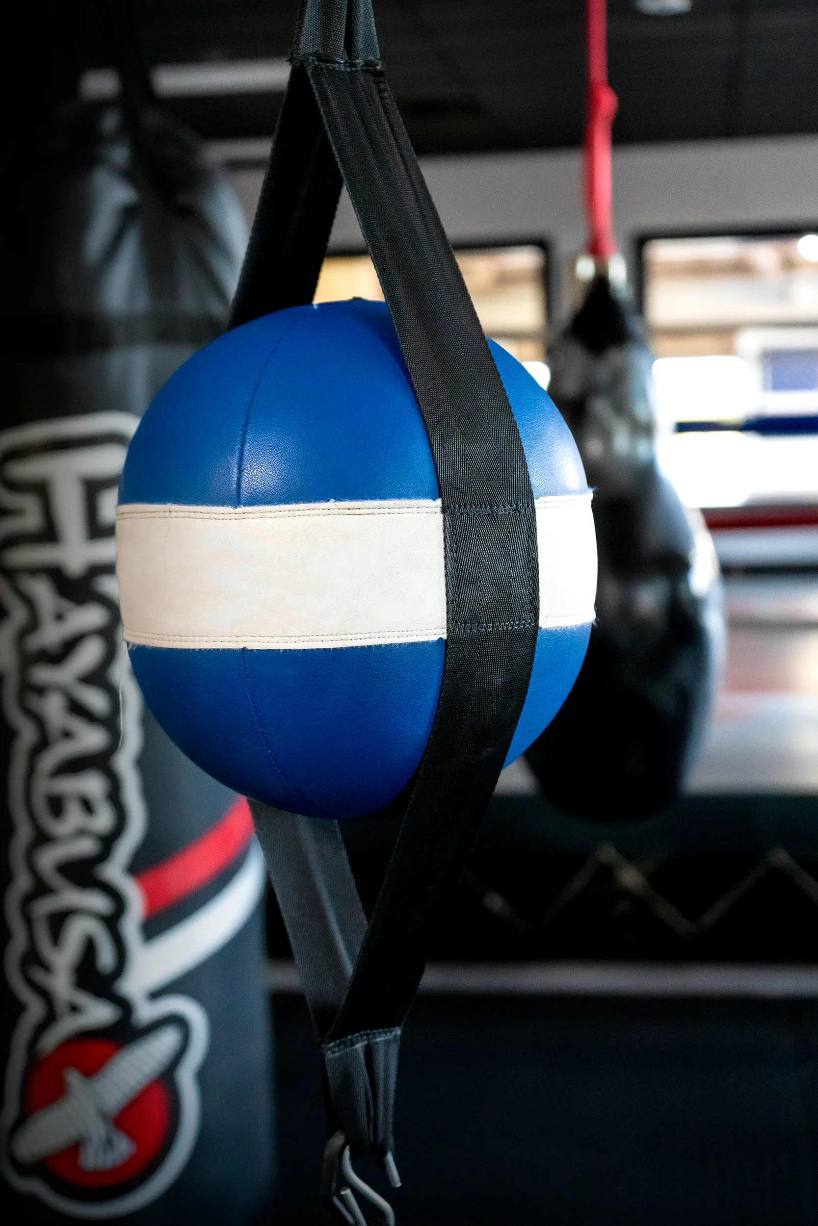 Blue Punching Ball.jpg