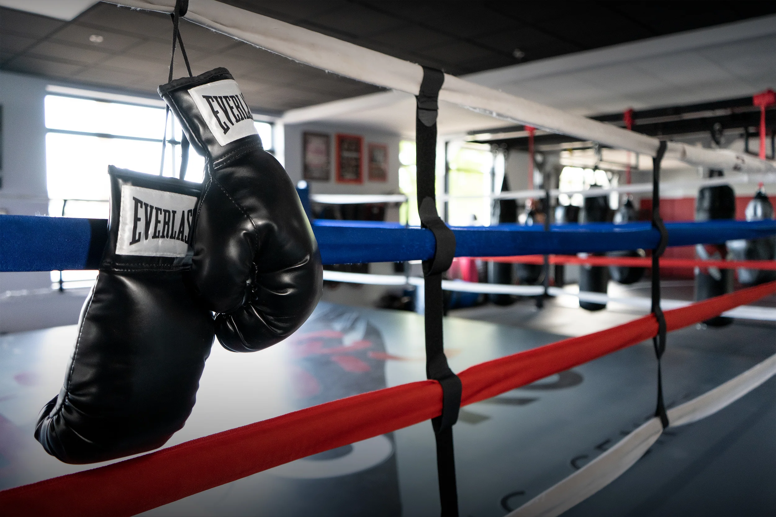 Boxing Gloves Hanging.jpg