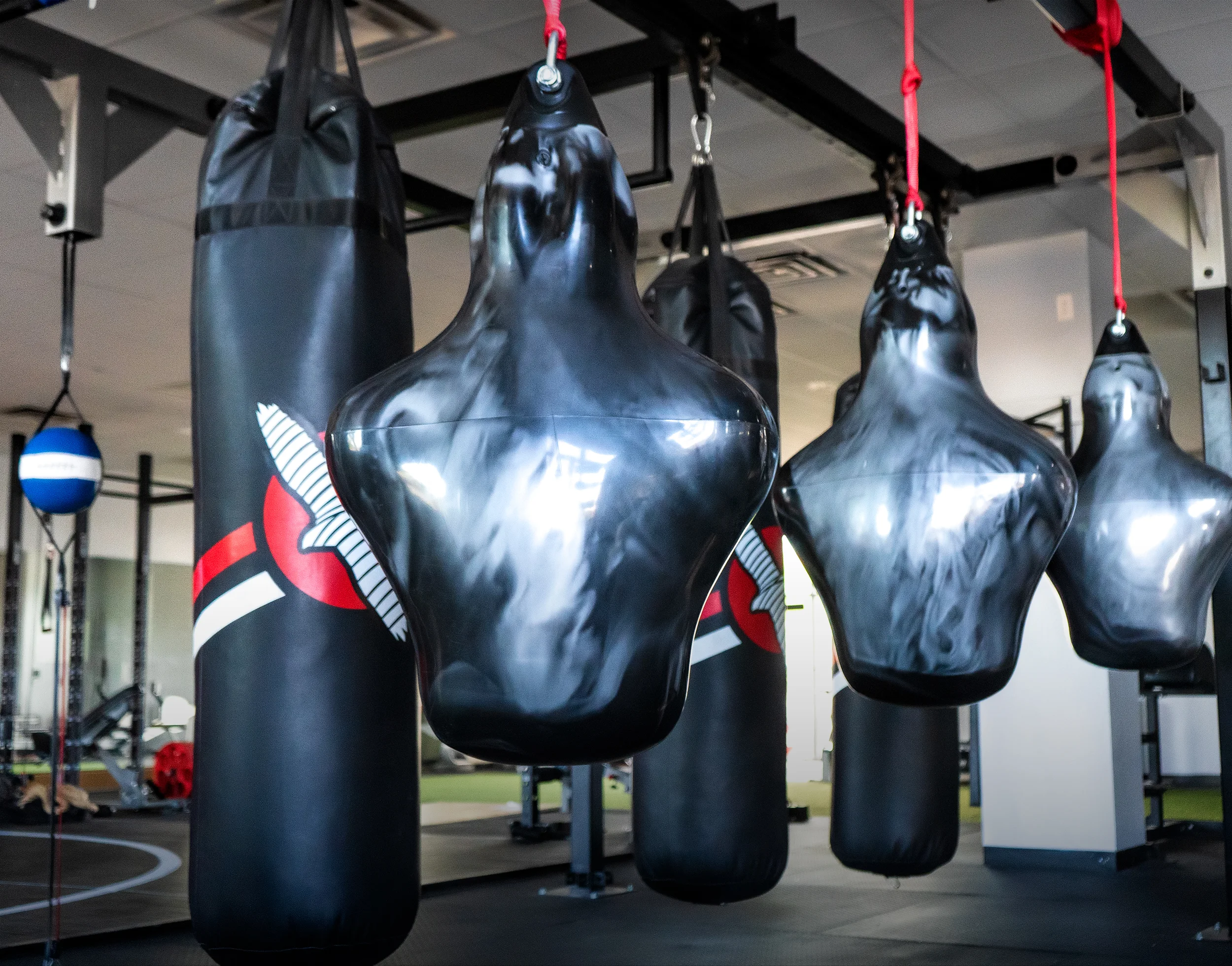 Forms and Bags Facing Fitness Room.jpg