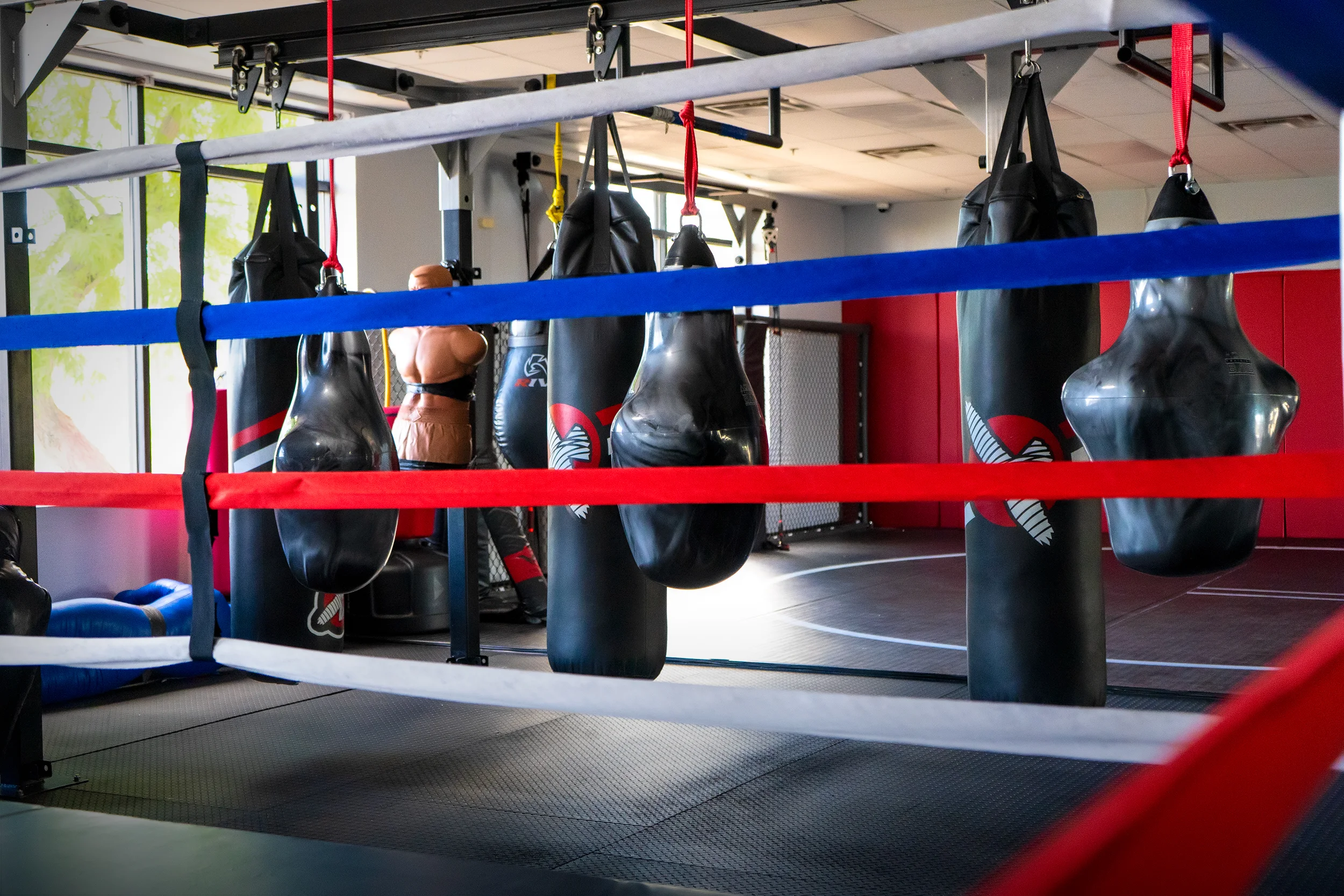 Forms and Bags through Ring.jpg