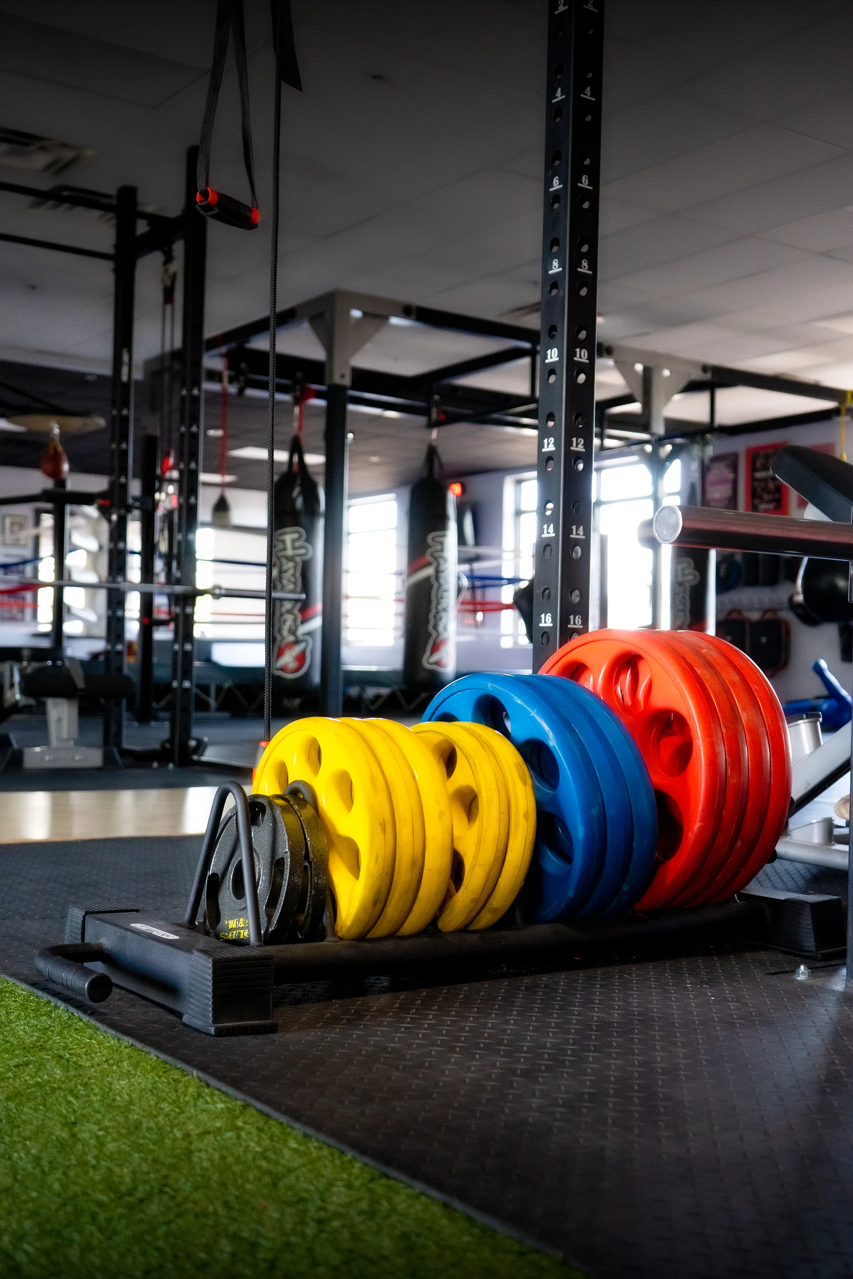 Weights in Fitness Room facing ring.jpg