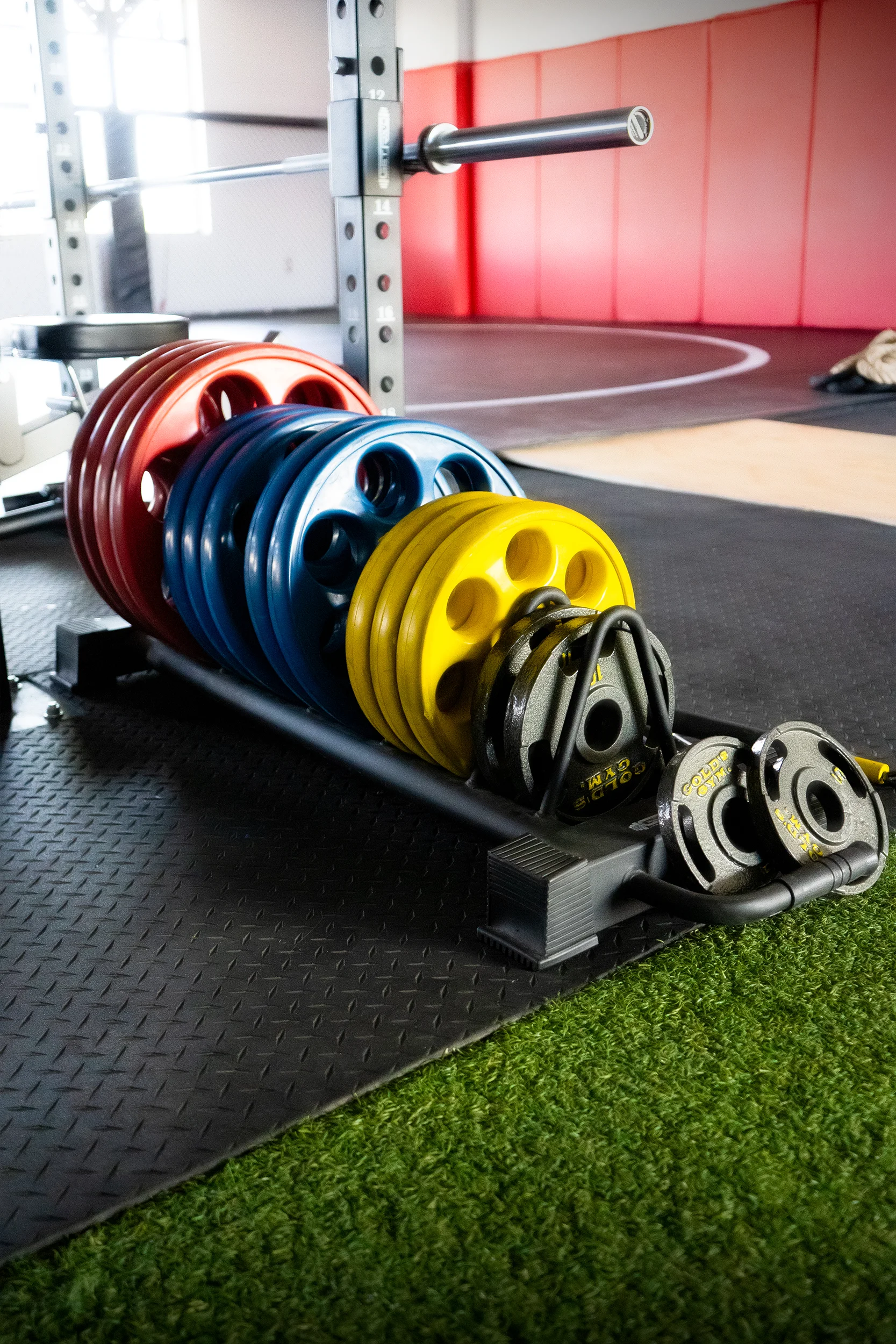 Weights in fitness room.jpg