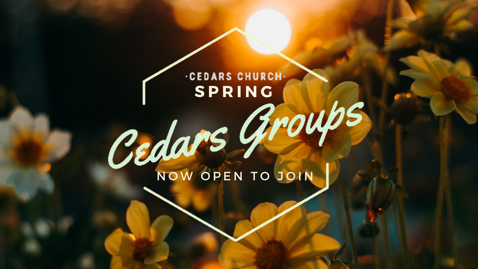 SPRING GROUPS.png