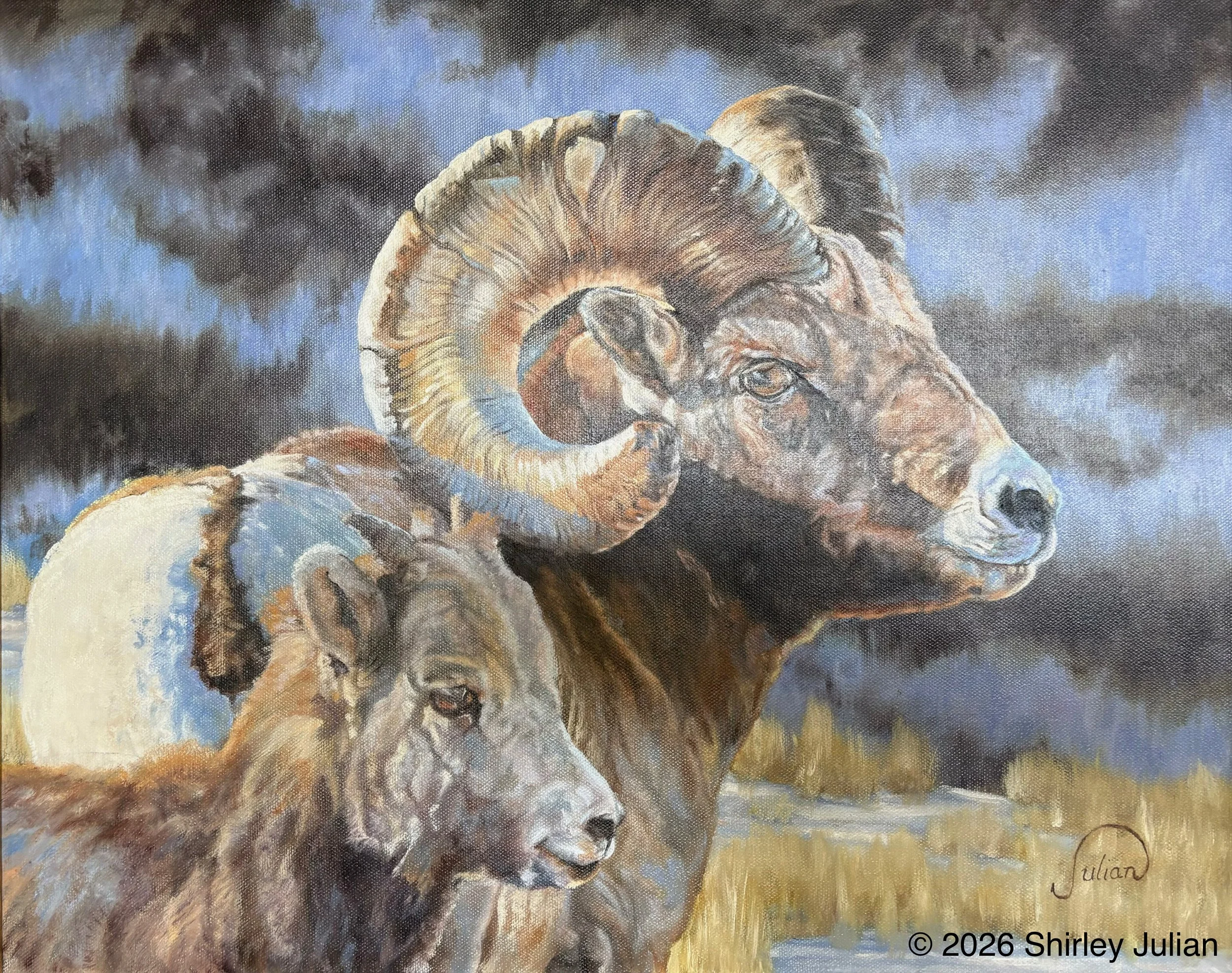 Ram and His Lamb, oil on canvas, 15.5" x 19.5" (Copy)