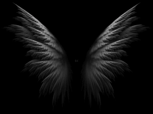 DAT-U3 Feathered Wings.gif