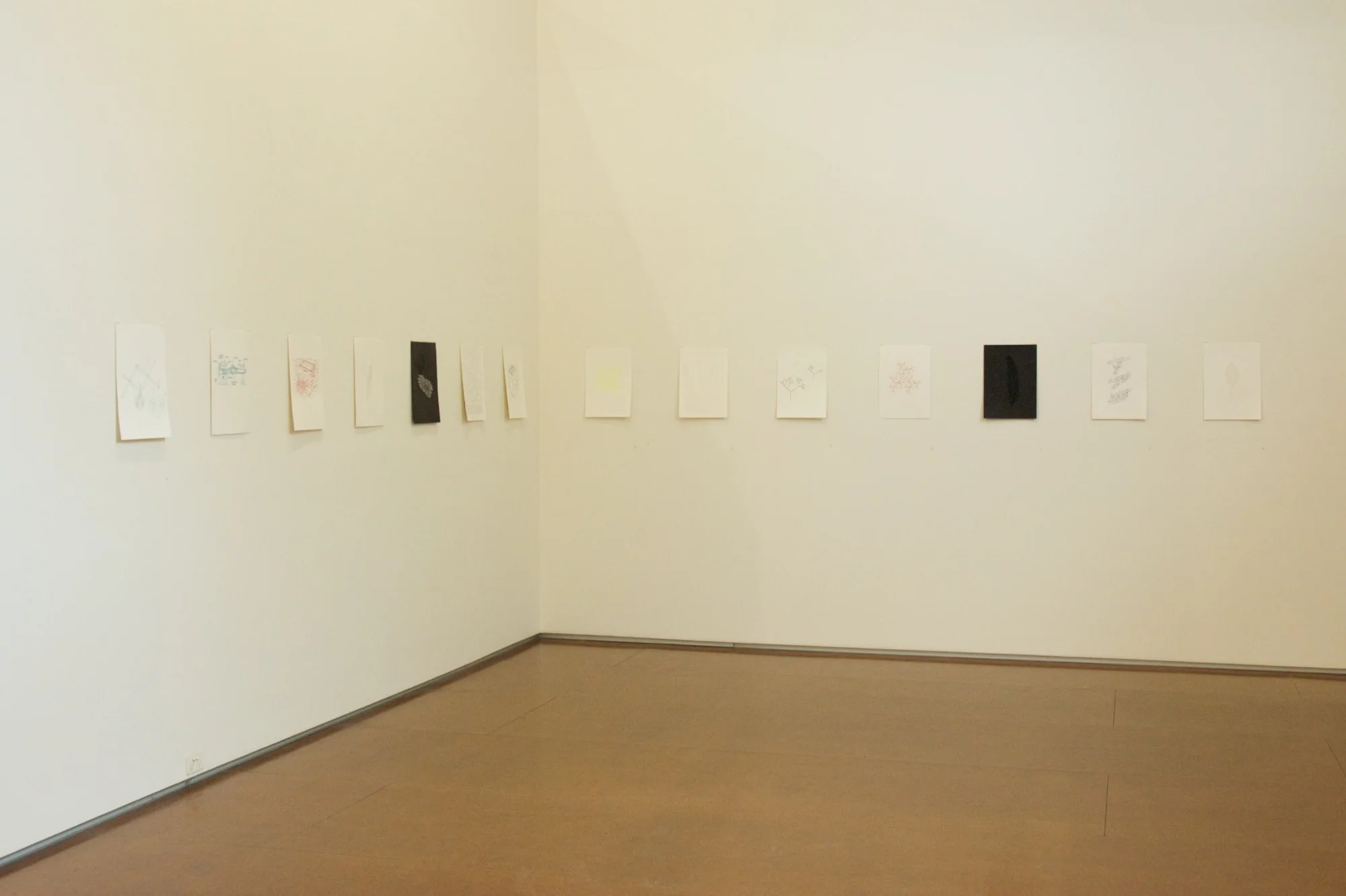 Kylie Stillman 'Over, Under, Around and Through' 2015