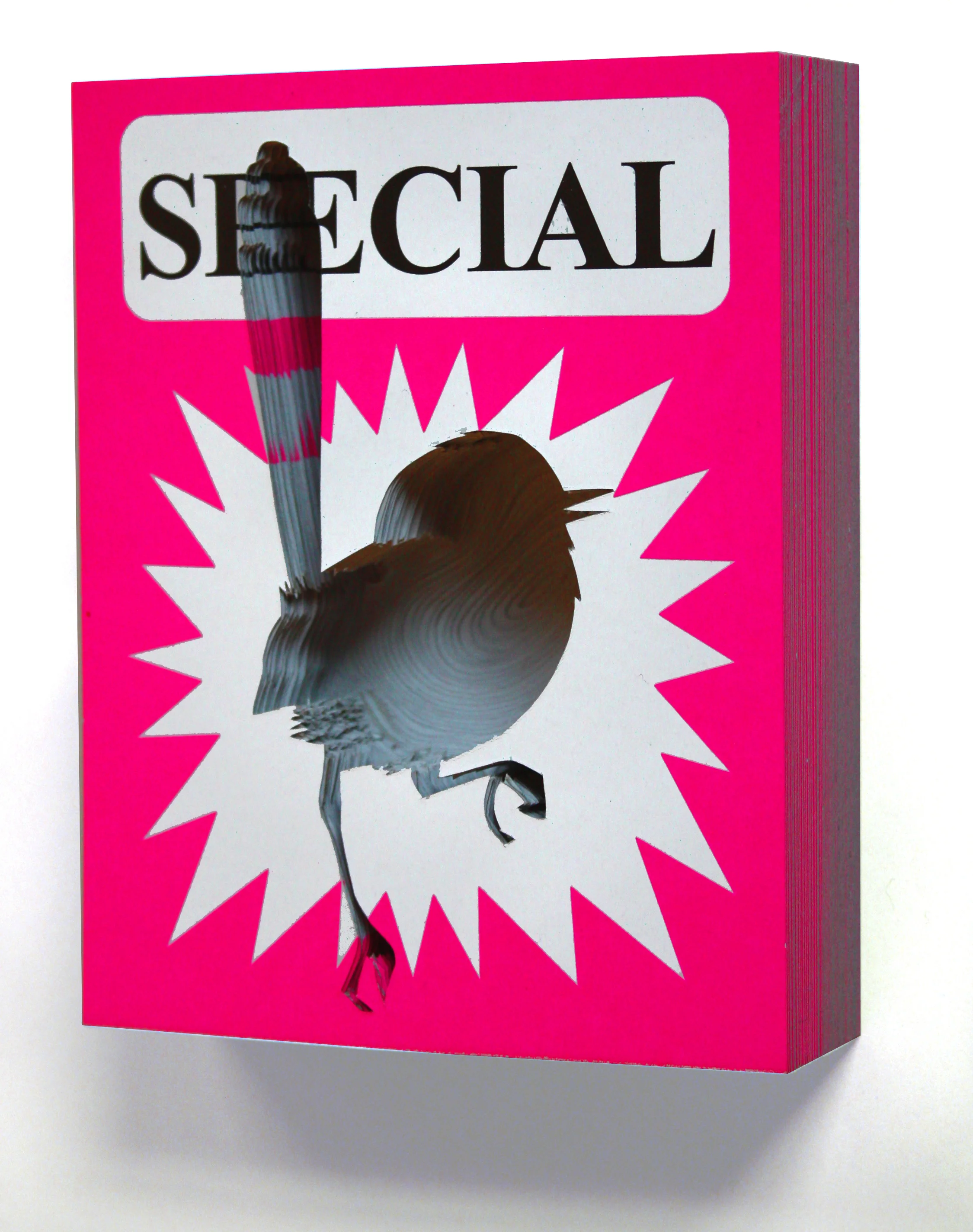 Special Wren04 copy.jpg