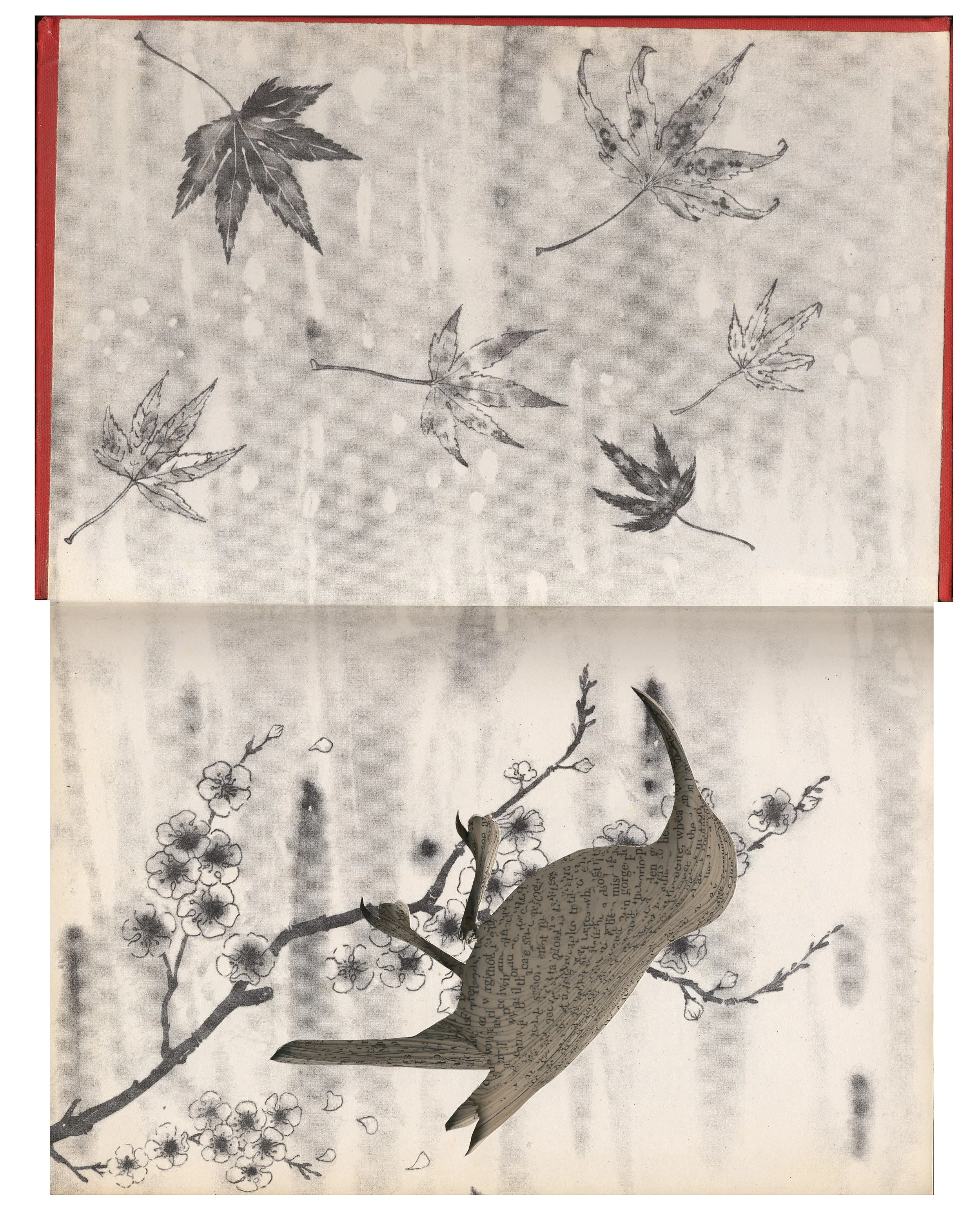 Bird Books Kylie Stillman04.jpg