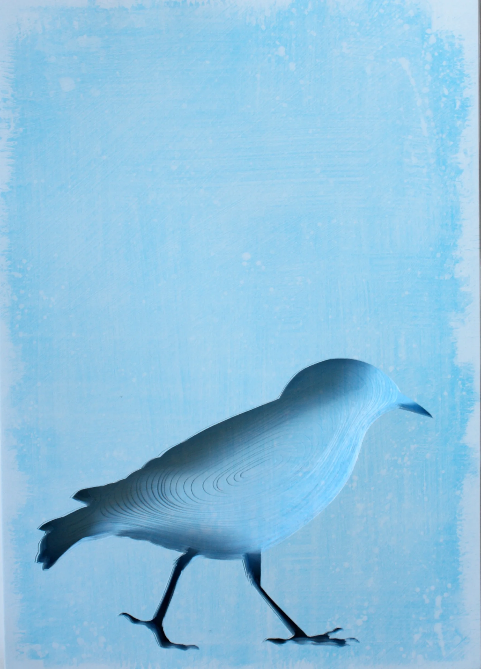 Starling.jpg