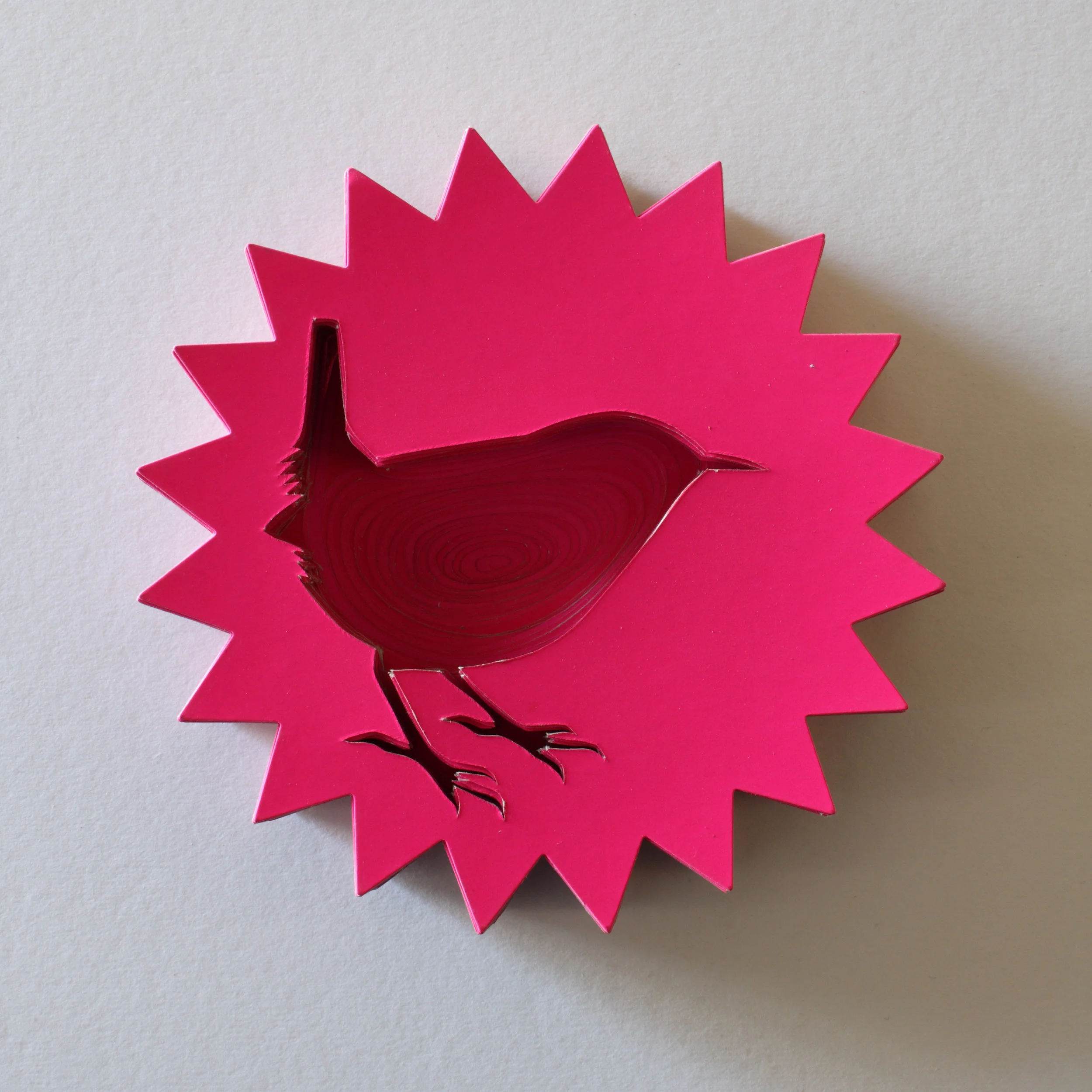 Winter Wren.jpg