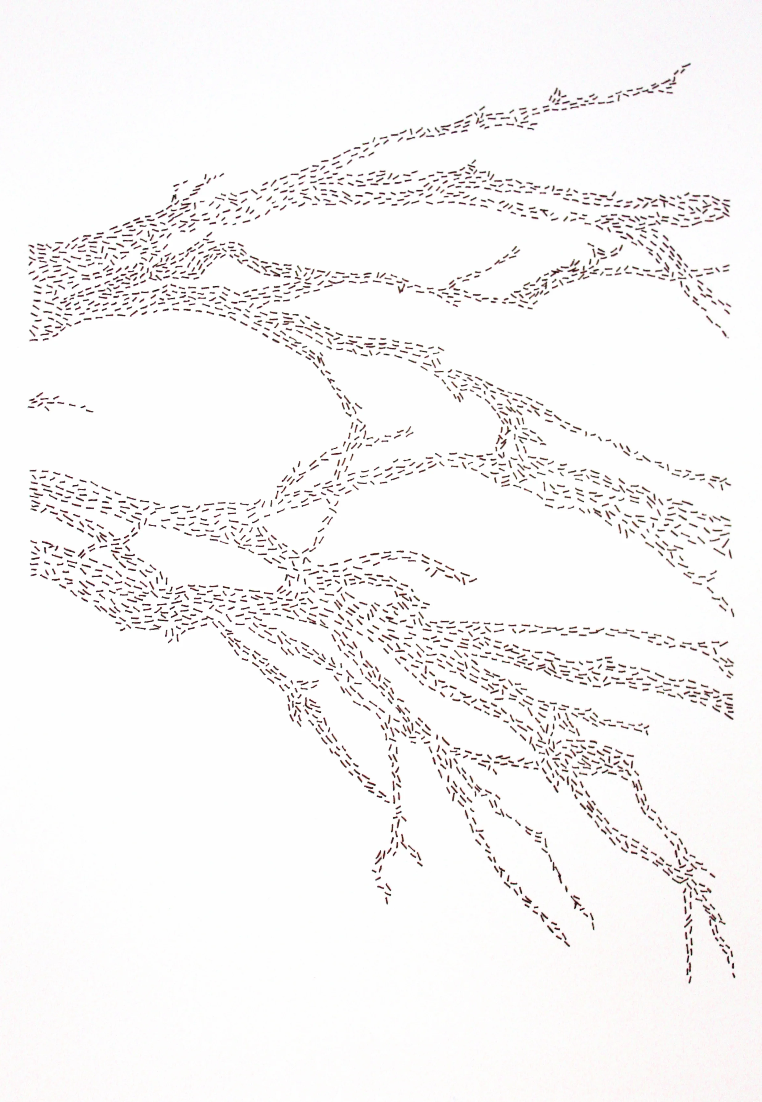 Kylie Stillman 'Formication Branch' 2015