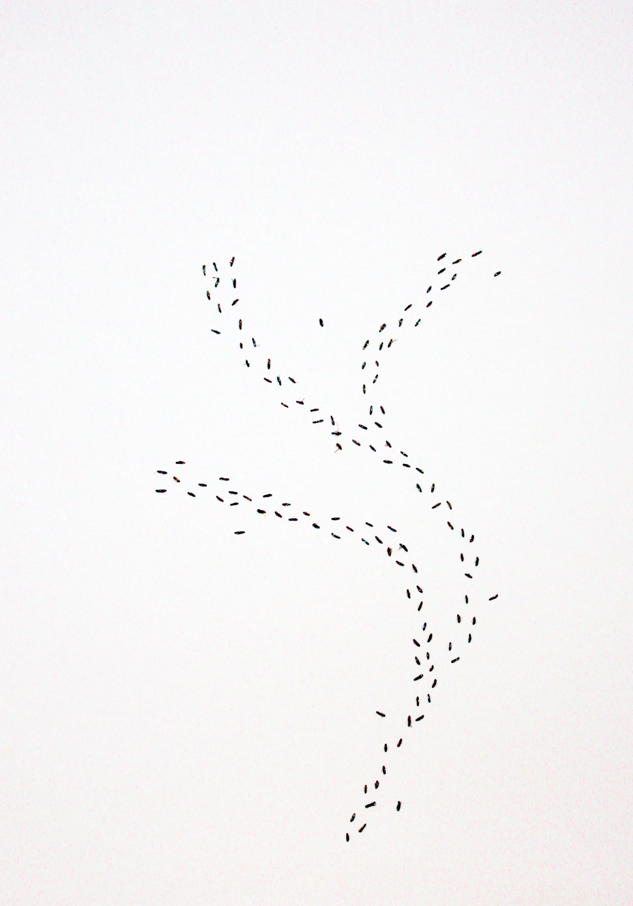 Kylie Stillman 'Line Work' 2015