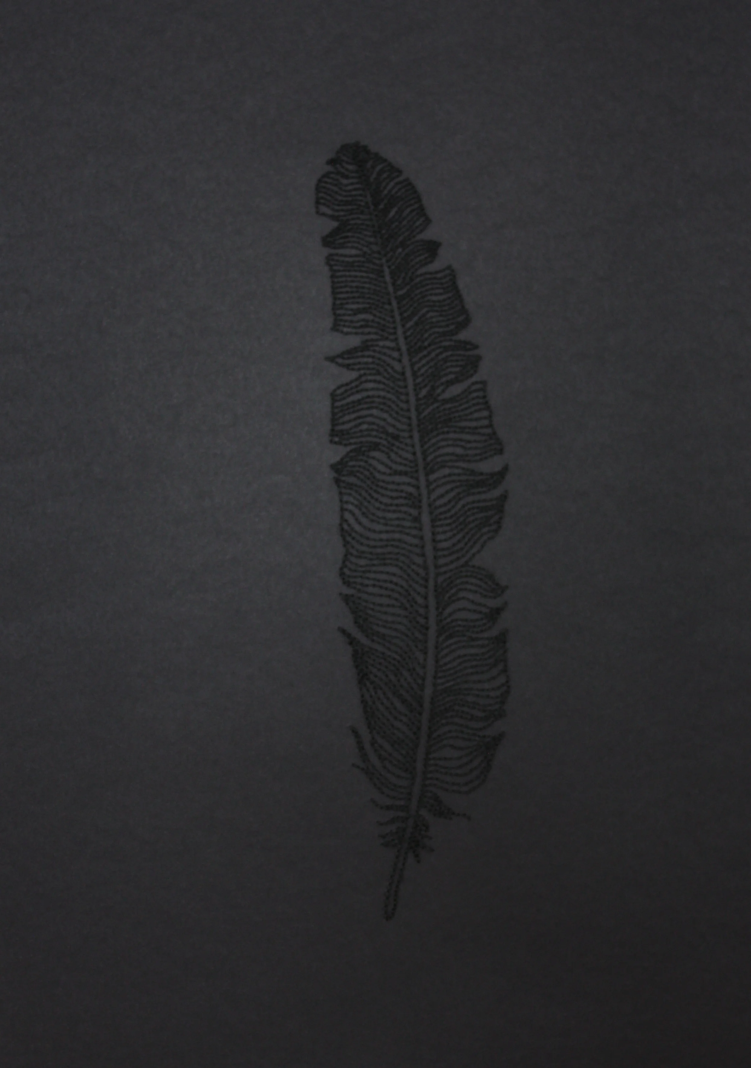 Kylie Stillman 'Plume Black' 2015