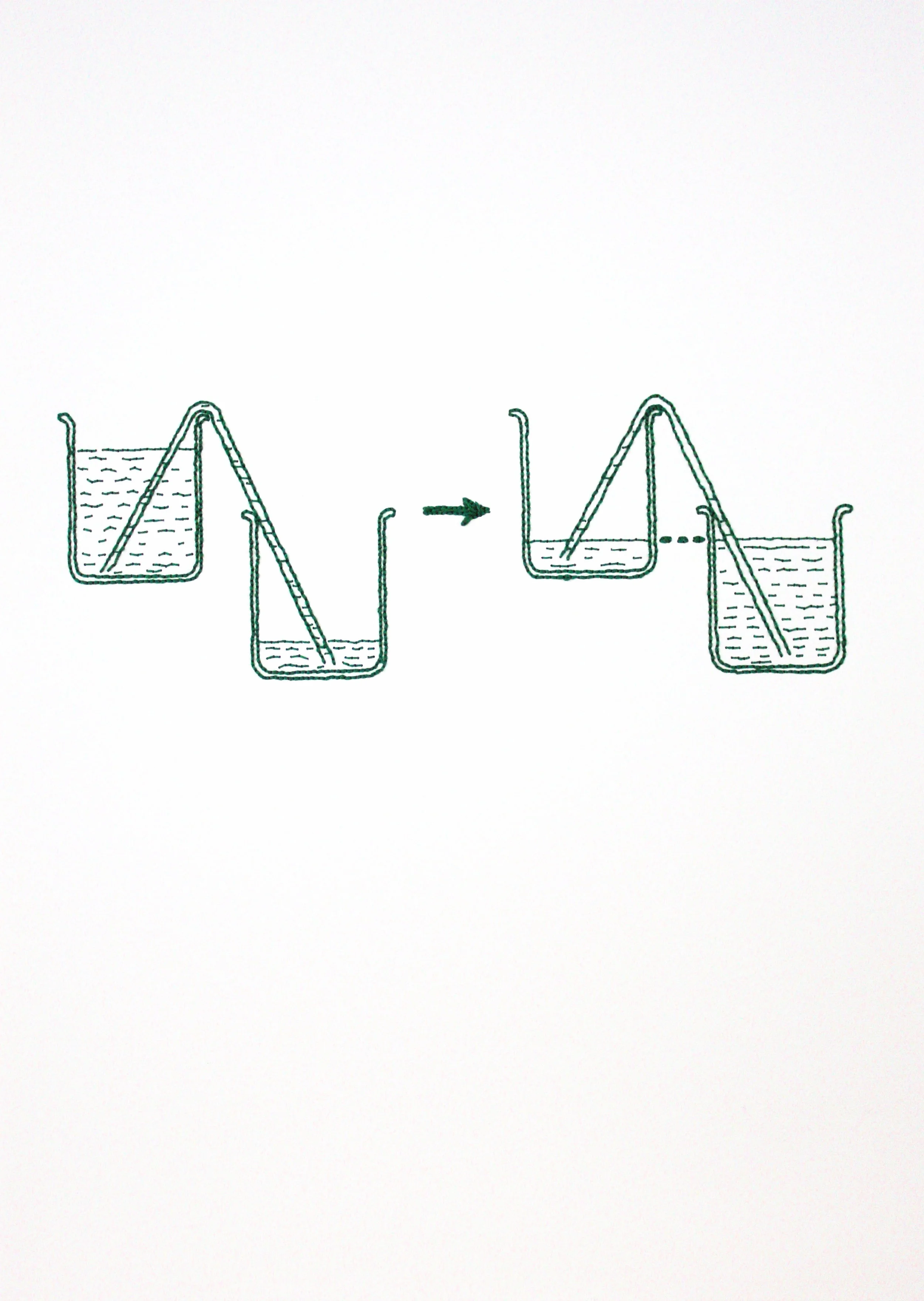 Kylie Stillman 'Siphon Action' 2015