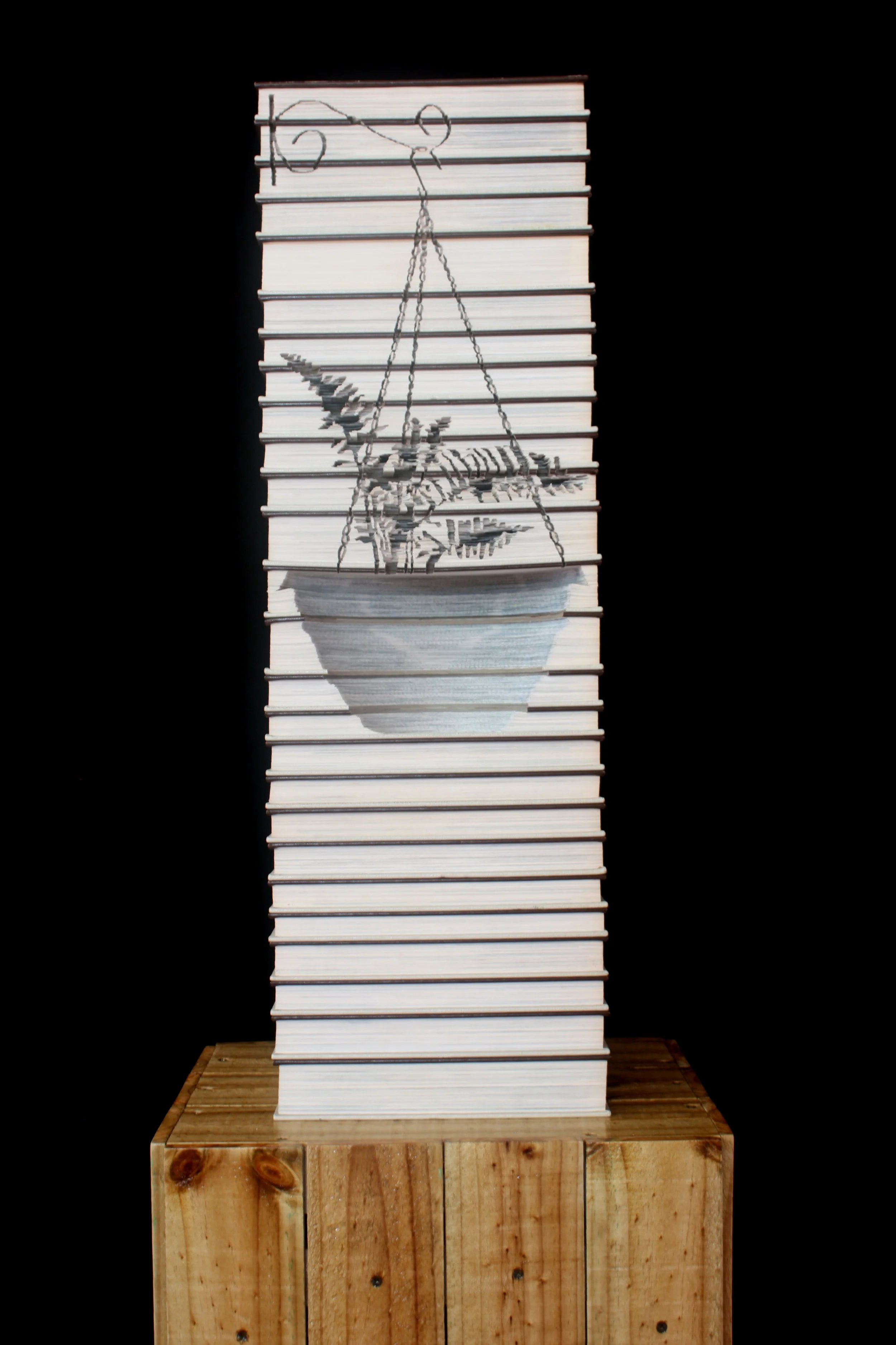 Kylie Stillman 'Hanging Basket: Fishbone Fern' 2010