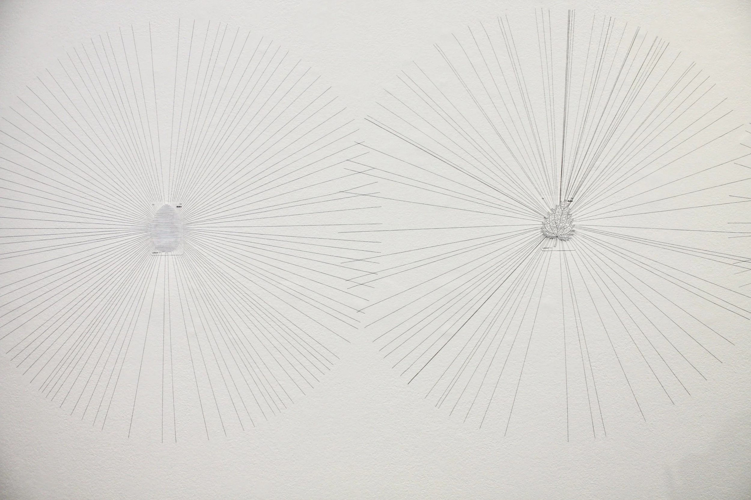 Kylie Stillman 'Lexicon' 2023 (detail)