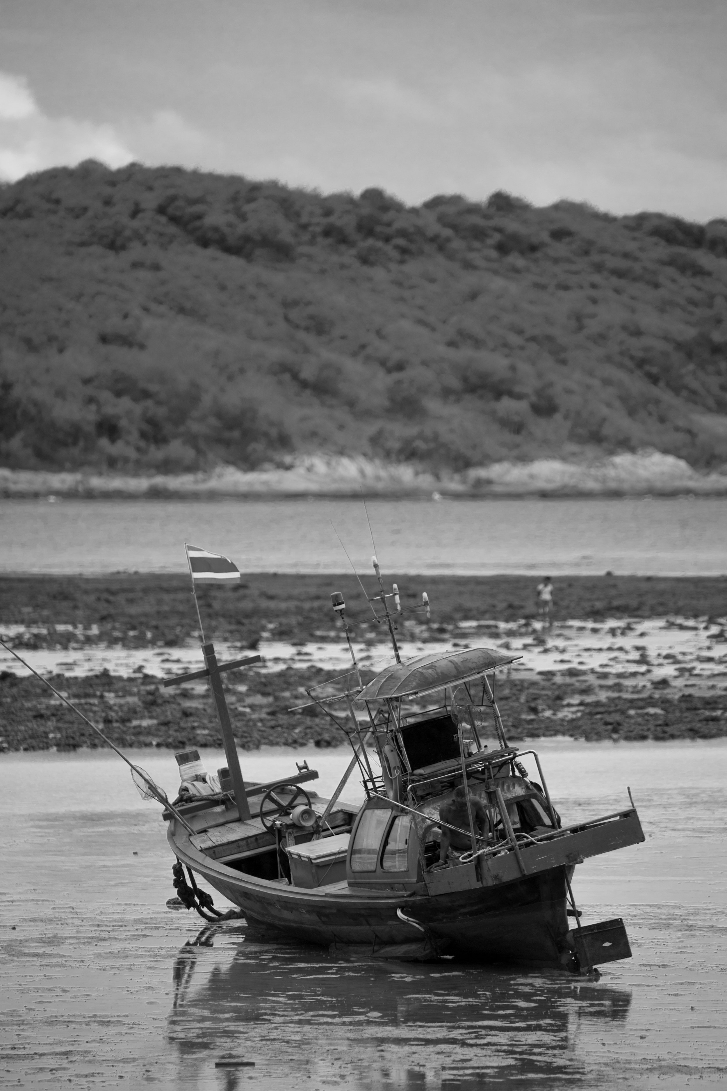 DSC_9439.jpg