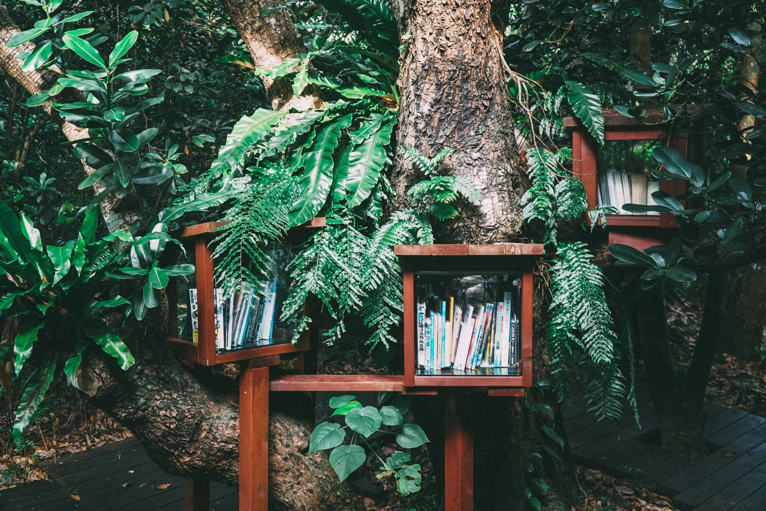 unsplash-image-1COcTd3pRCg.jpg