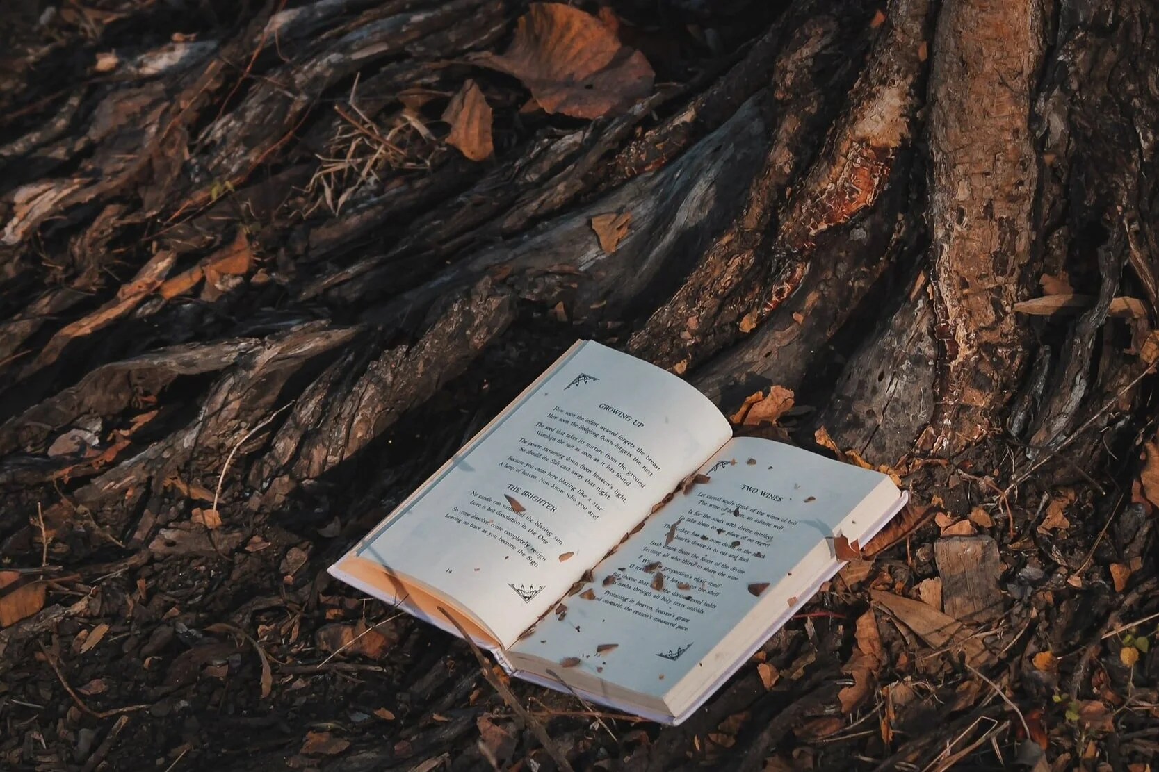 unsplash-image-wahsV9D5ymA.jpg