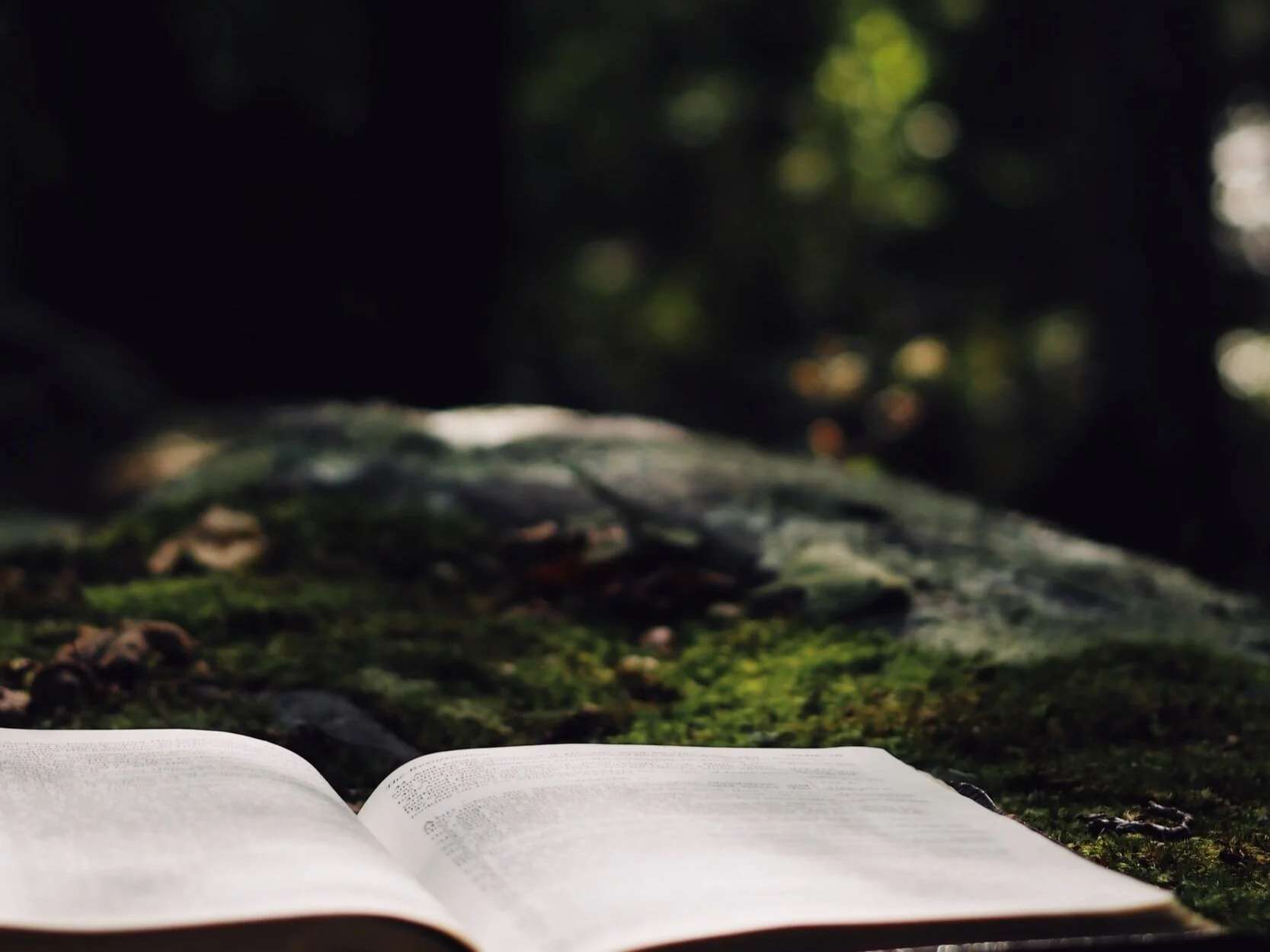unsplash-image-J8esybr6V98.jpg