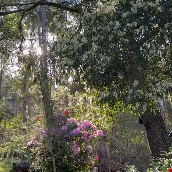 I started this year without an ounce of momentum. Maybe I&rsquo;m still in 2025-recovery but I&rsquo;ve felt somewhat coerced into an unnatural need to set resolutions and intentions. 

I investigated my Inner Child&rsquo;s heel-digging, anti-intenti