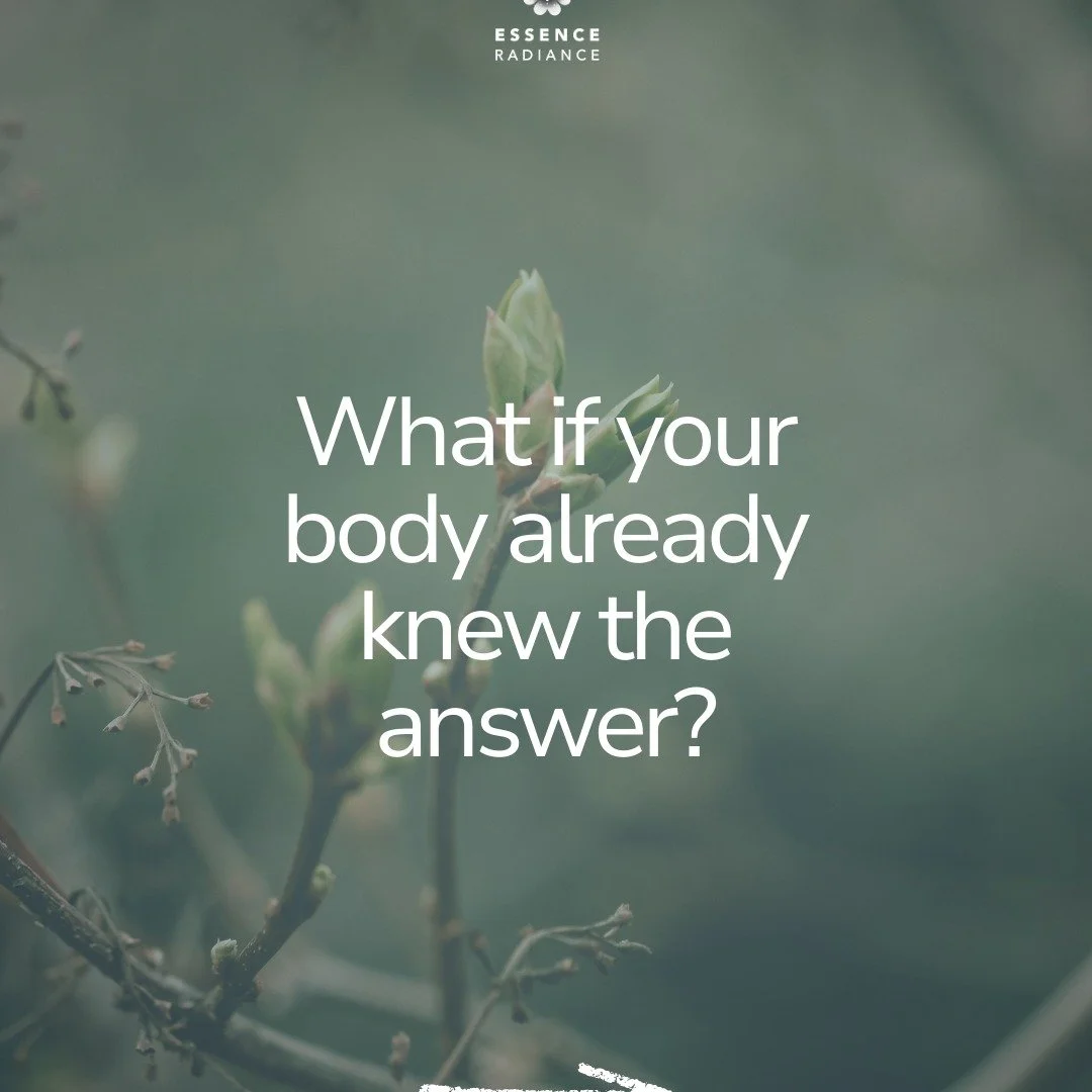 Your body is always communicating.
This course is about learning how to listen.

If you&rsquo;re keen to learn simple and practical tools that will help you:
- cultivate deeper self-connection
- improve your decision-making 
- become your own healer
