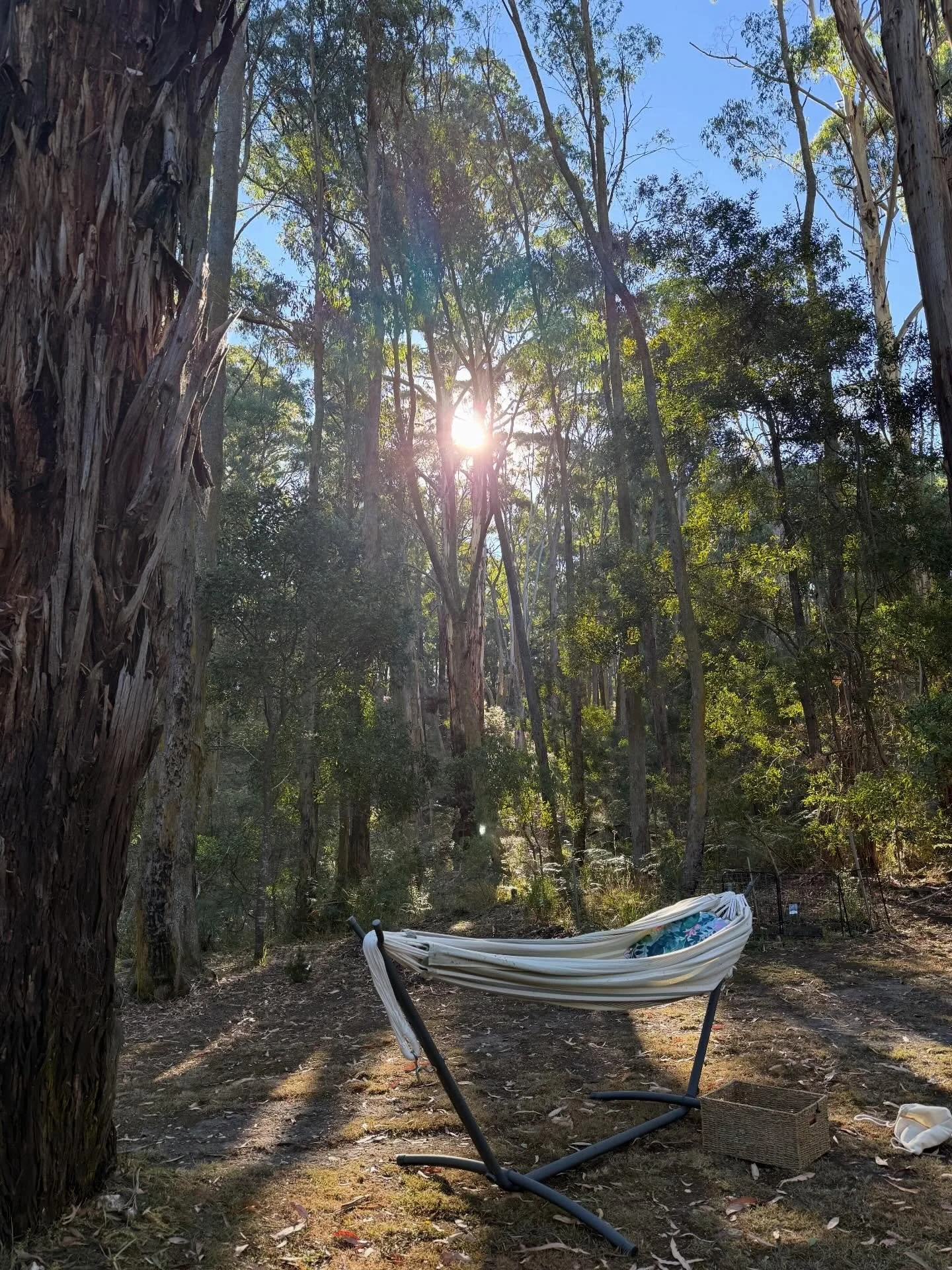 I used to work in Learning and Development (also known as &ldquo;training&rdquo; 😂) and I love everything about learning. These days my preparation looks quite different! But I still love fancy training materials ❤️😂 So looking forward to teaching 