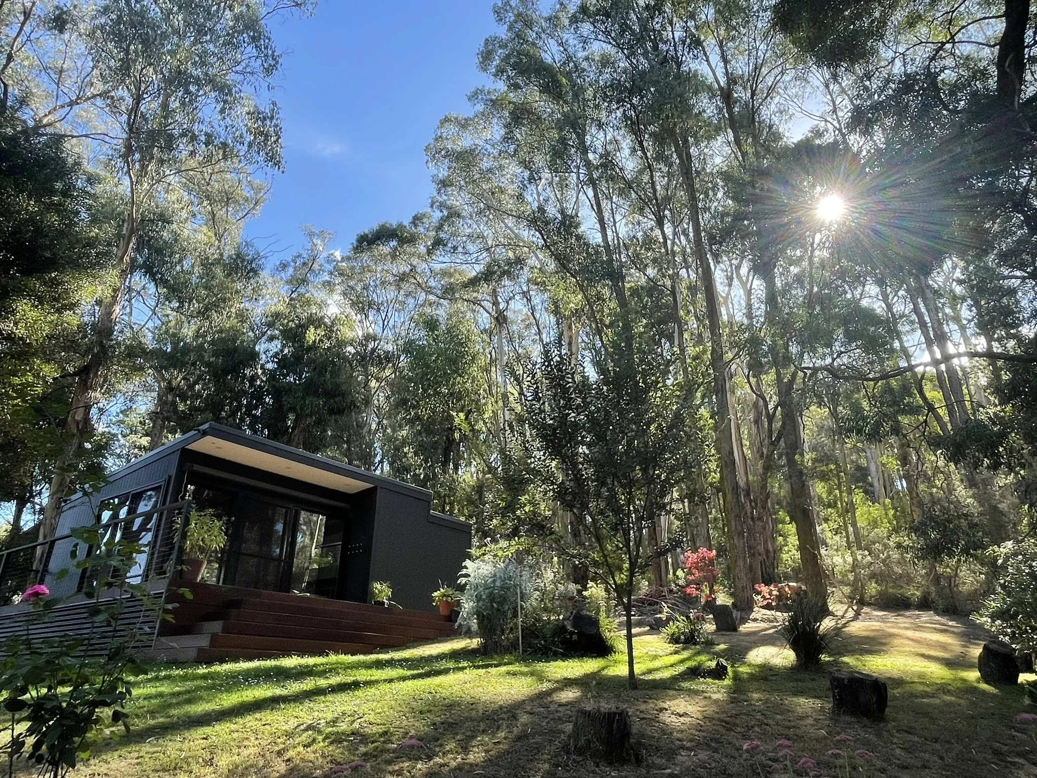 Evolution Studio in Blackwood_2.JPEG