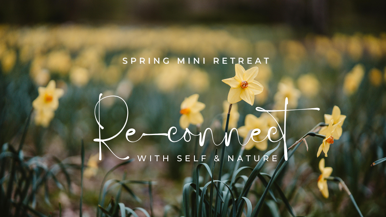 Re-Connect - Spring.png