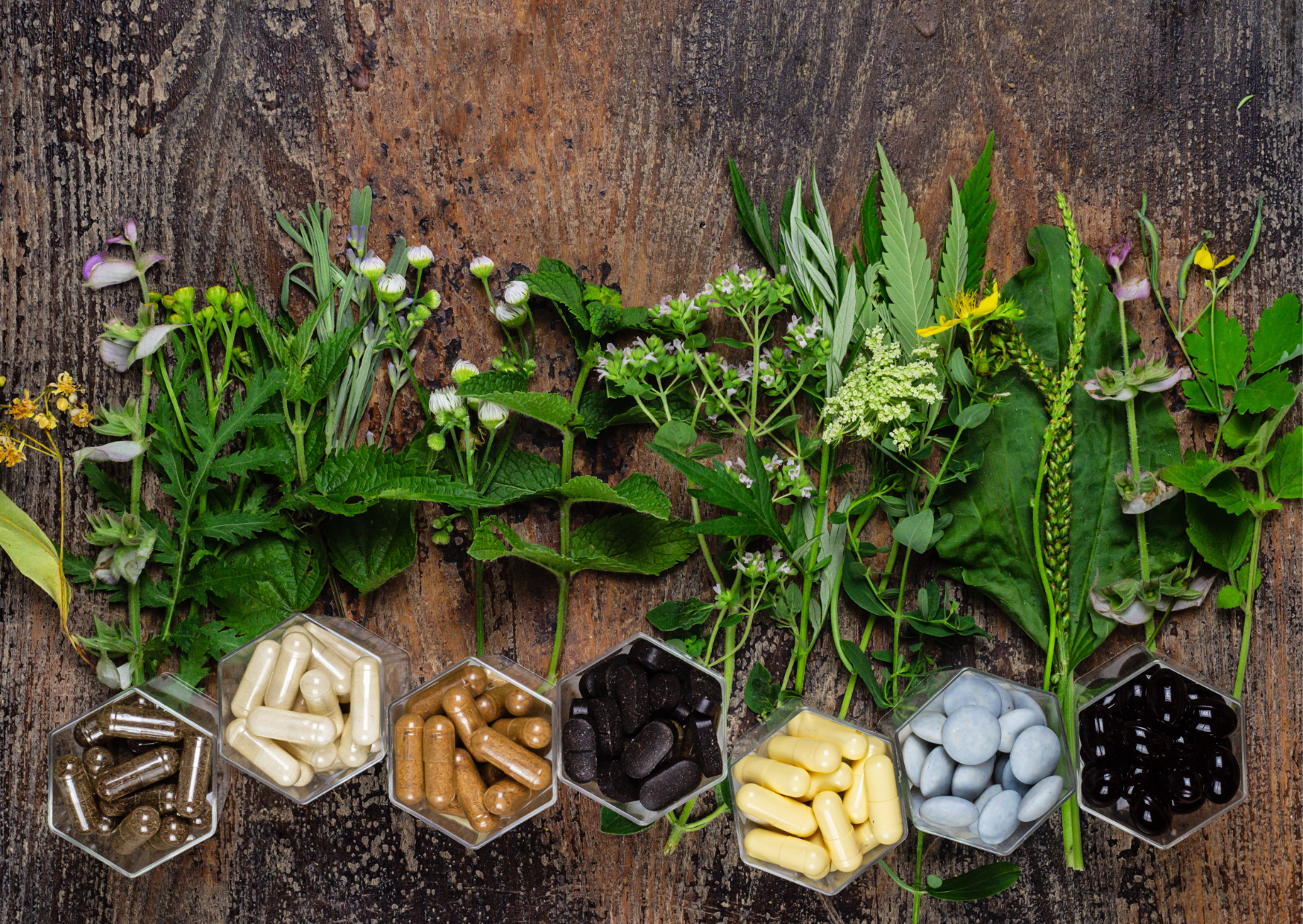 When there are too Many Ways to Heal 