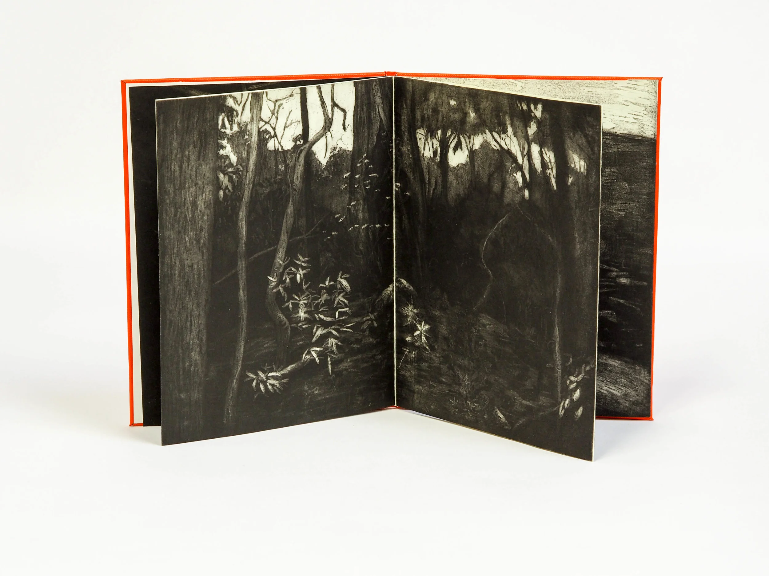 6. Sarah McConnell, 'Extinction Zones' 2017