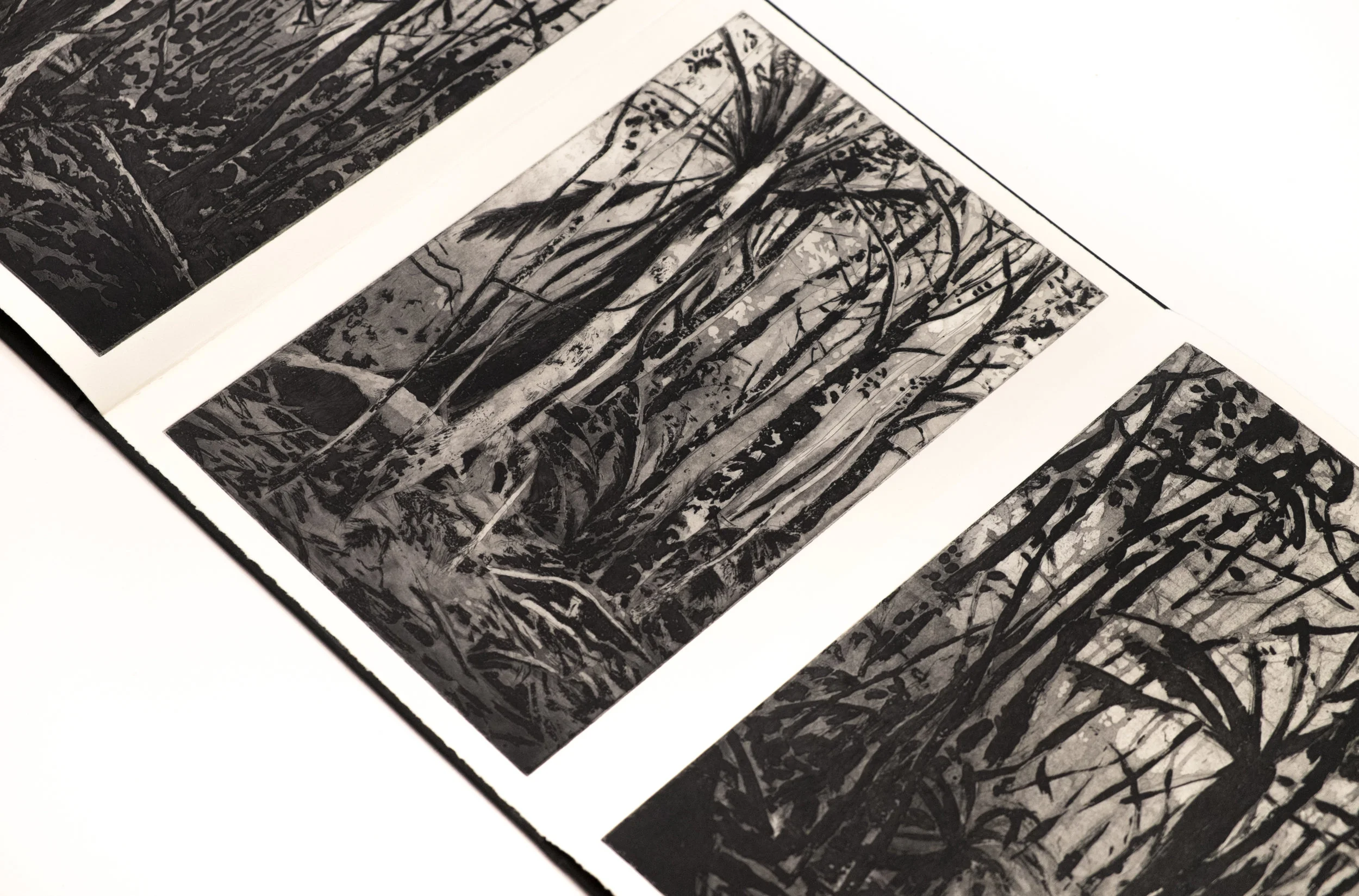 The View From Here (detail).jpg